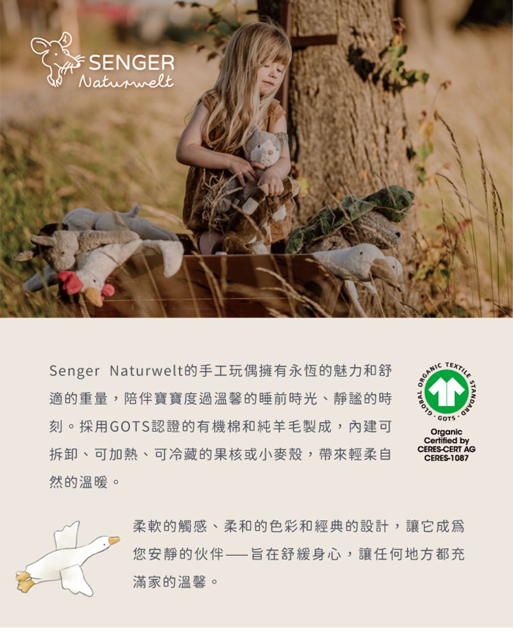 tw-11134208-81ztn-micrio3428li43