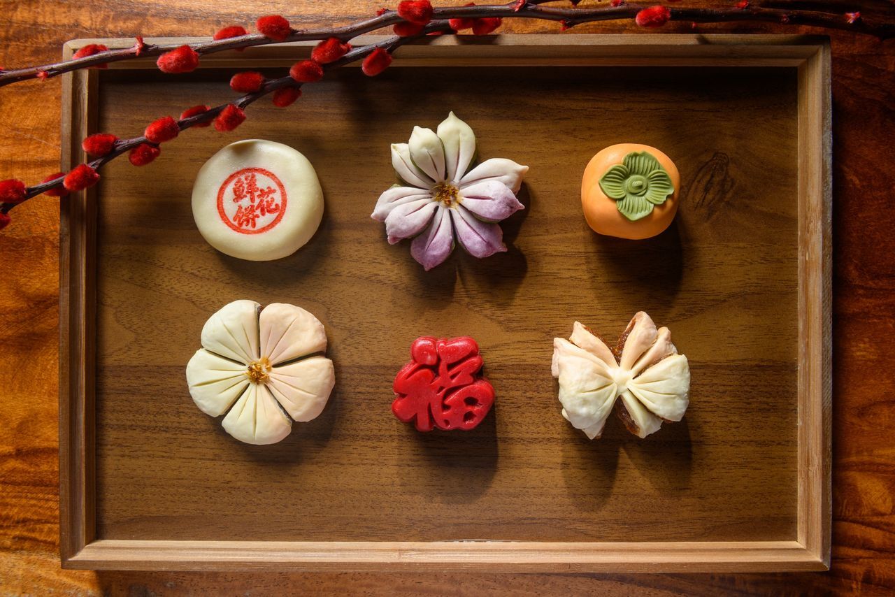 WhatsApp Image 2026-01-21 at 1.53.34 PM (1)