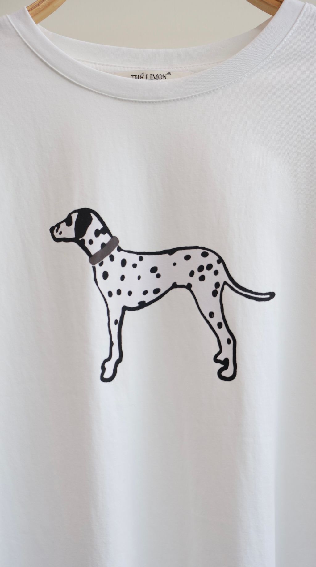 image_D1B2F5C0-6BBF-4962-91DF-F1387FAC297D_1775197429