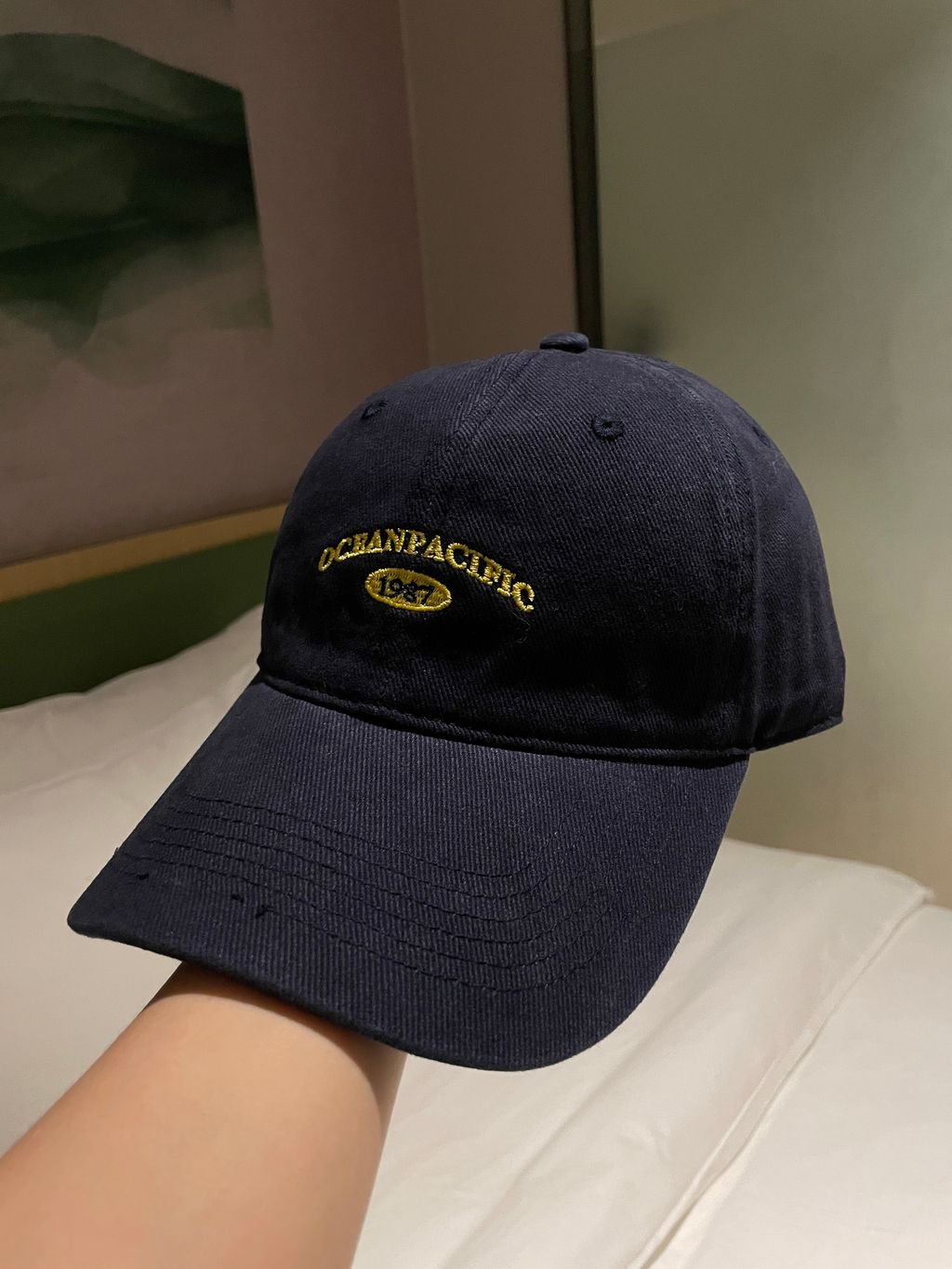 image_8D485136-F480-48B5-8D01-E1DC3B23B411_1762279534