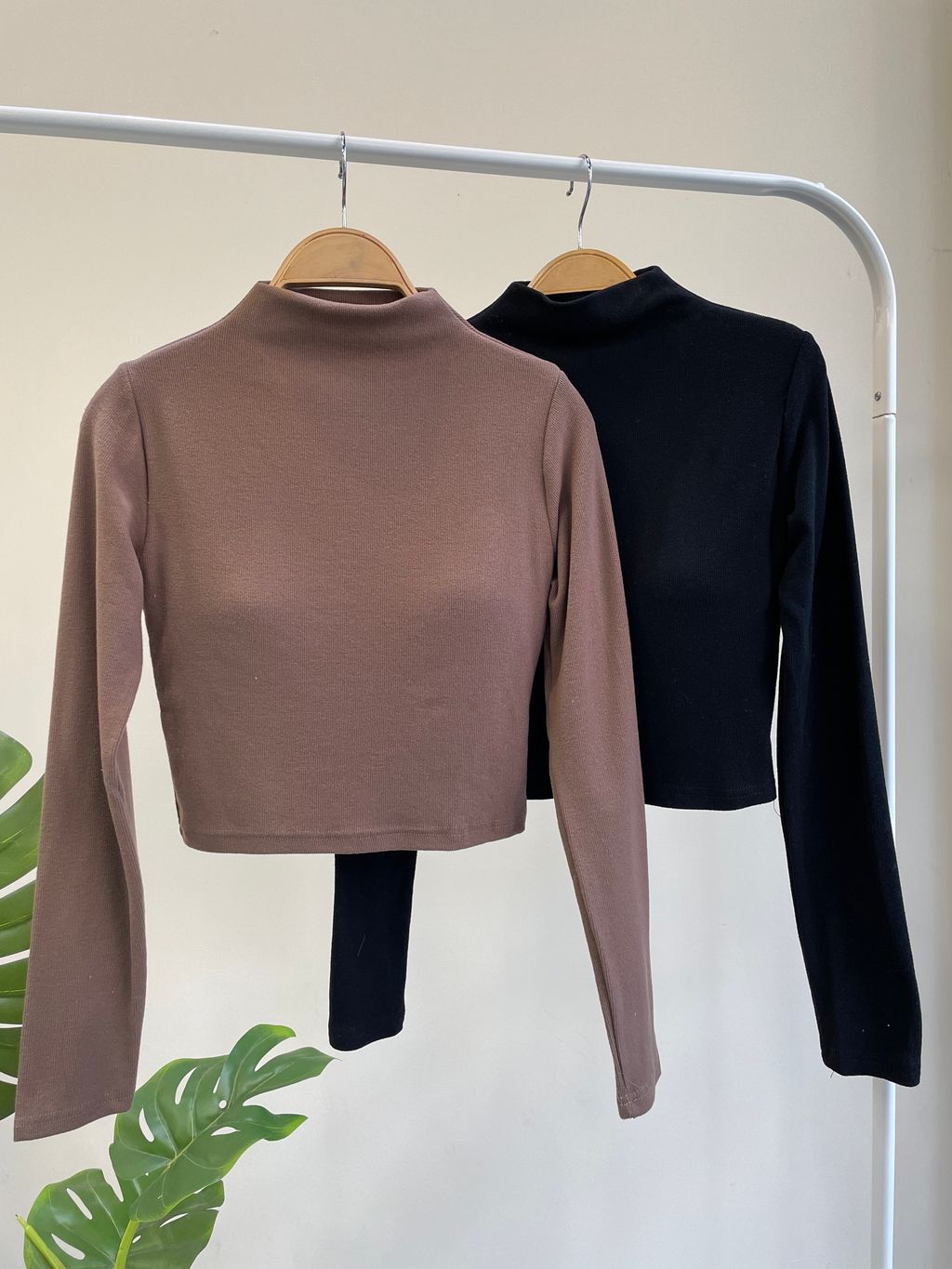 image_1C053681-156E-42F6-9D2C-9DD8B6C321DA_1766730777