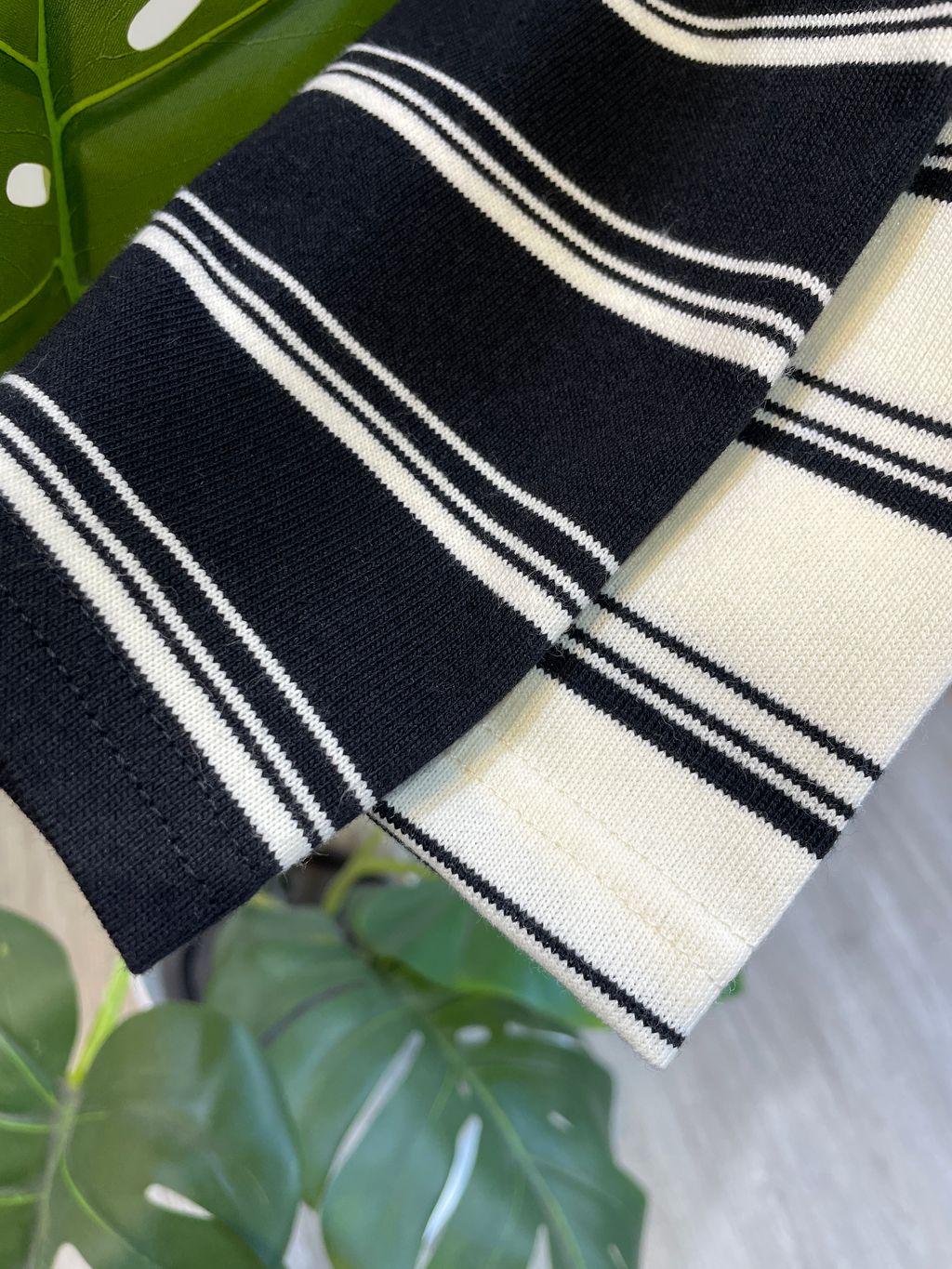 image_0F729C6B-6137-4592-B0F5-C7E5BBE6E667_1766732570