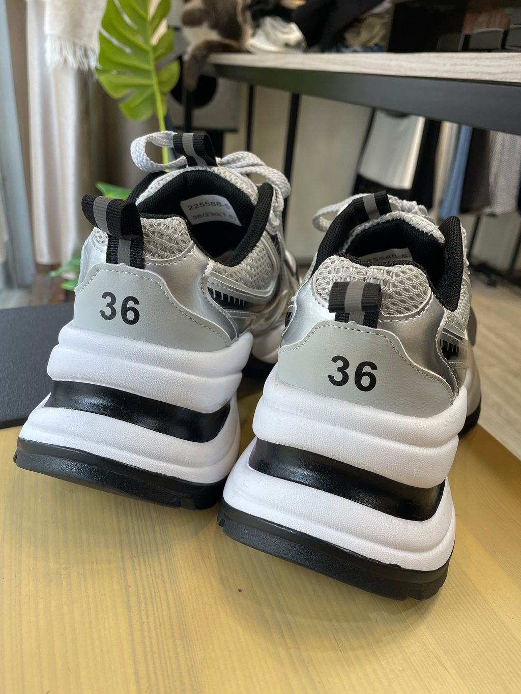 image_0760B050-8EA8-4662-B40A-1B5906D653F9_1767602768