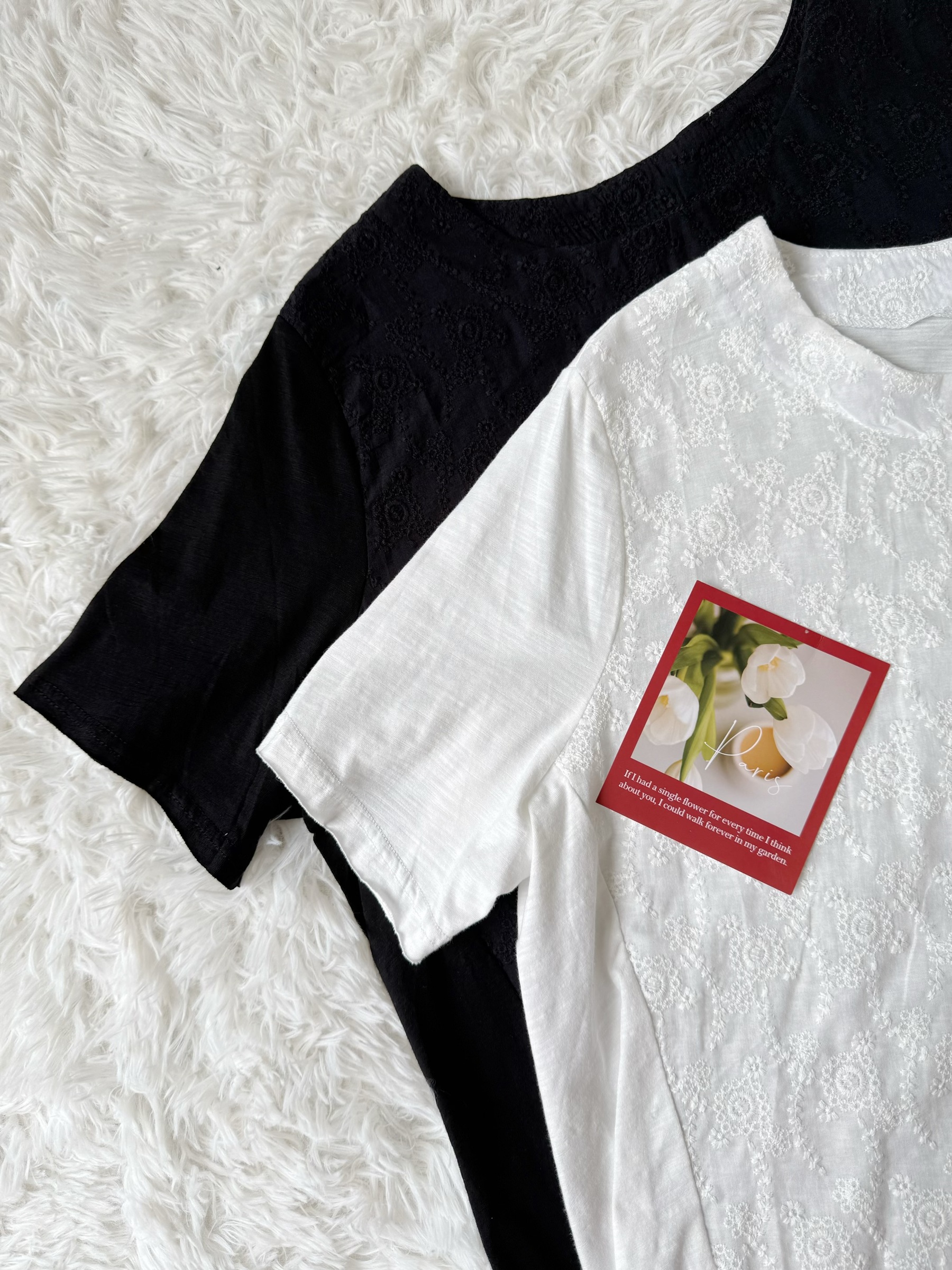 image_0DE757BB-78DC-445F-BDB6-F840B1477A4C_1773301018