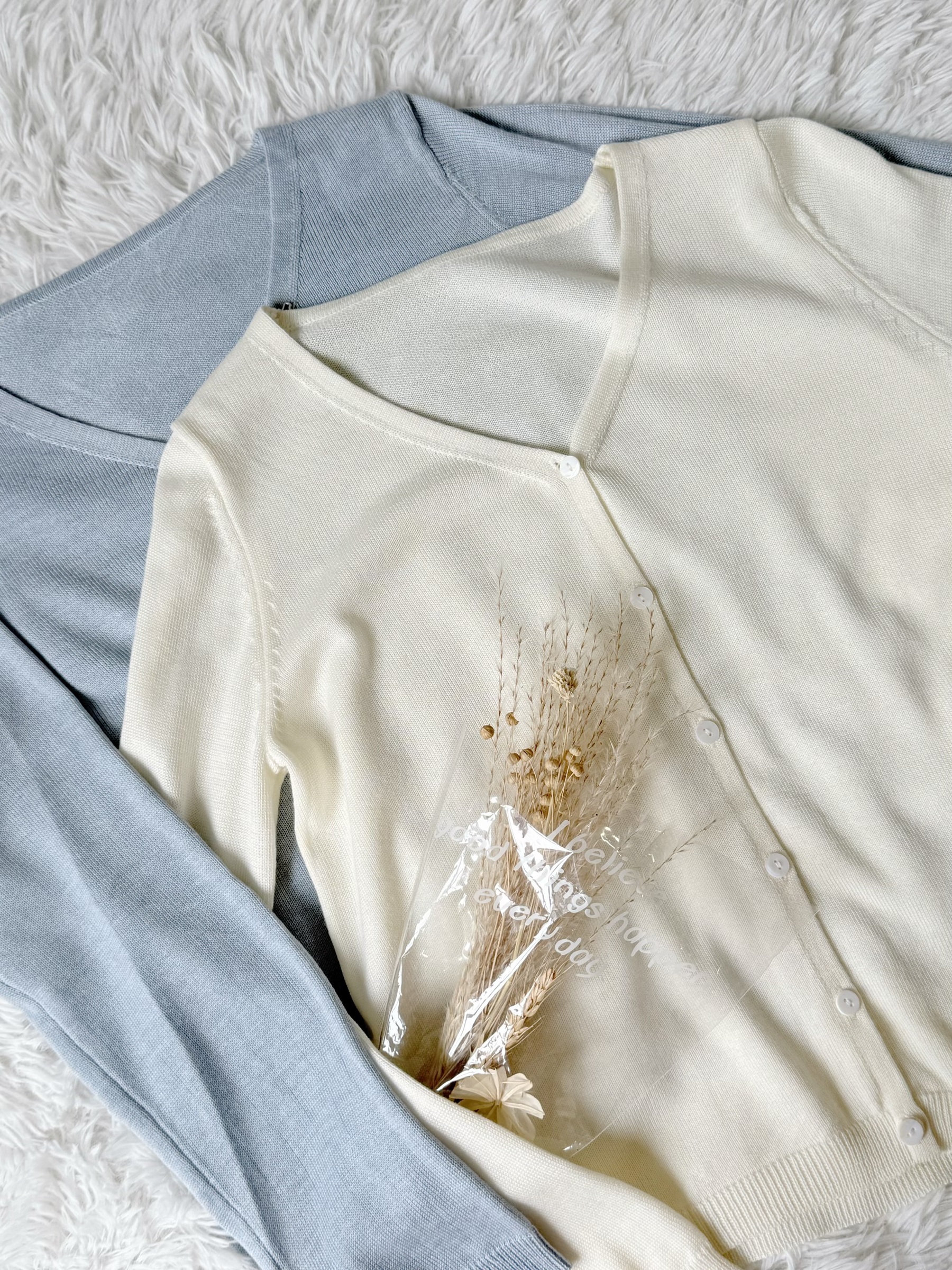 image_E6CE8156-CD58-494D-BC6C-B55609A1C4B5_1775134575