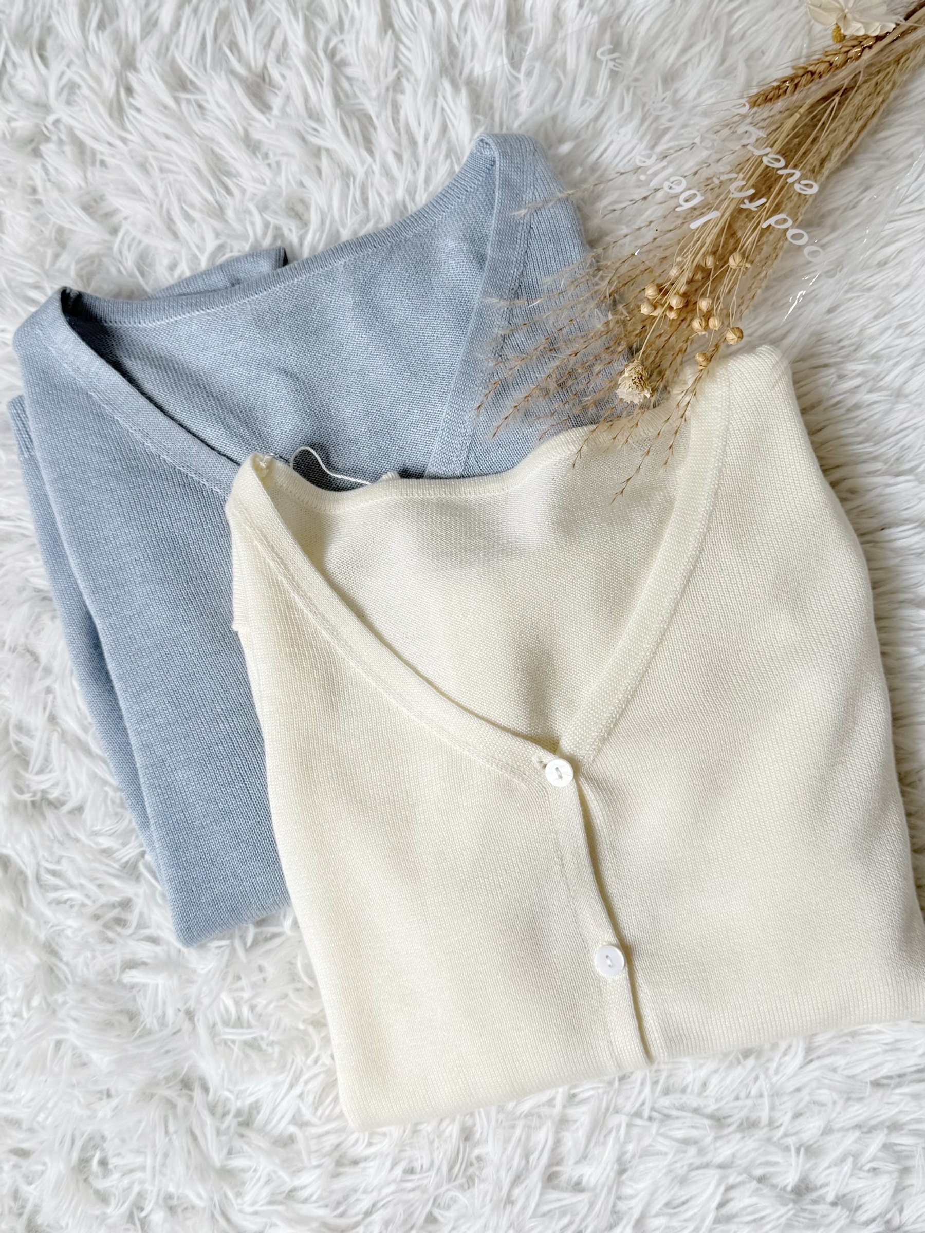 image_C0DD1AFC-086E-49CB-AE2D-9D6B5FA62AD6_1775134575