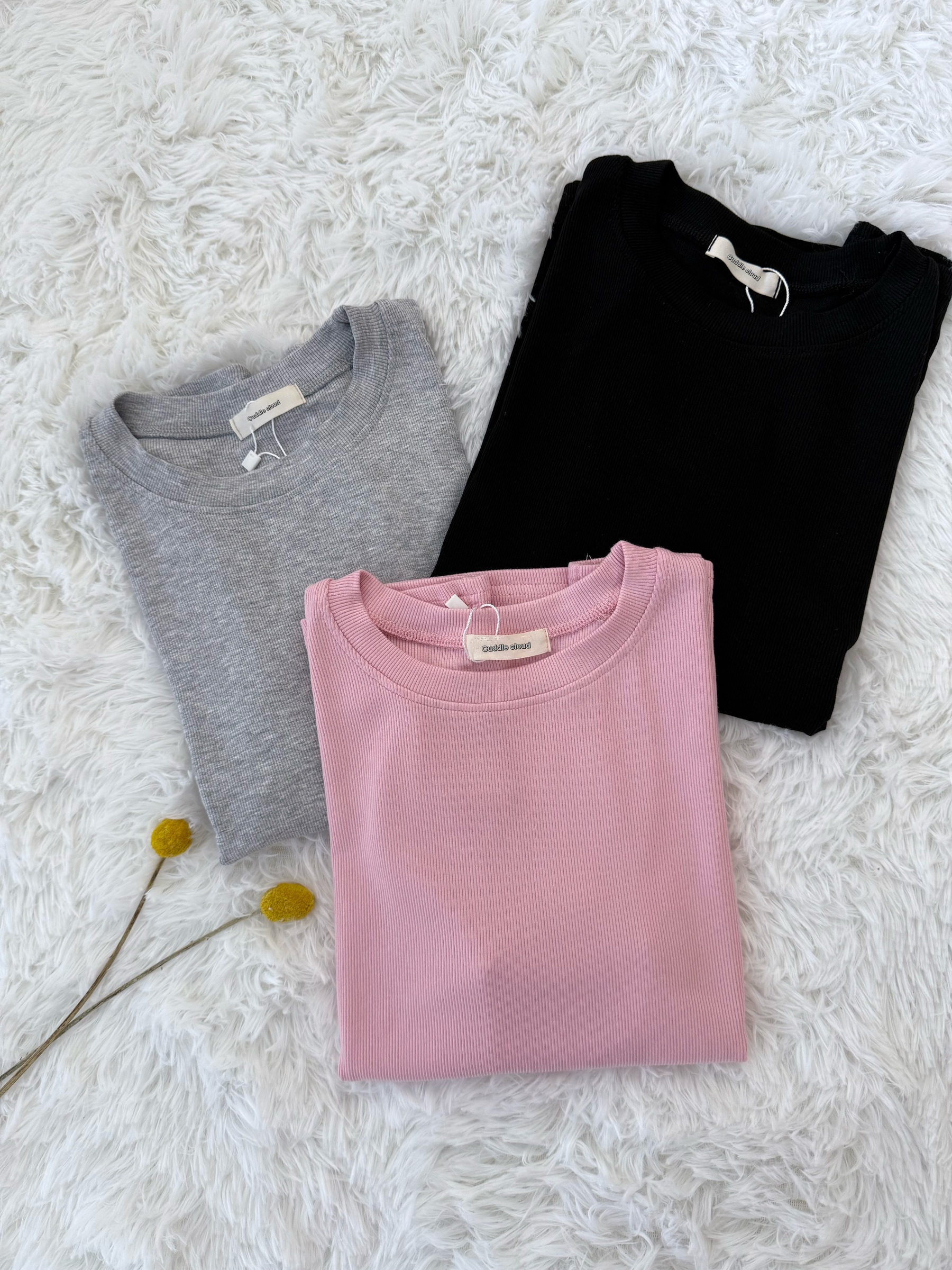 image_588E8505-446F-4C05-B518-0D4EE719972E_1758050754