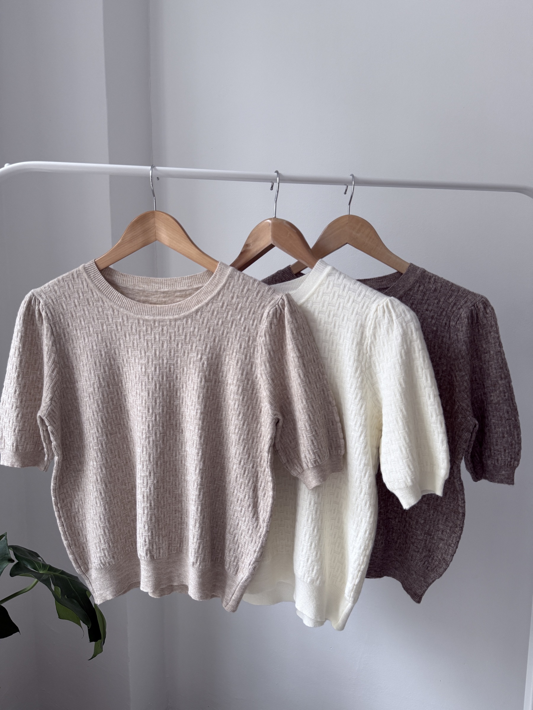 image_E5D8E530-A7B8-43FB-A826-97FBBCB04ED1_1758302204