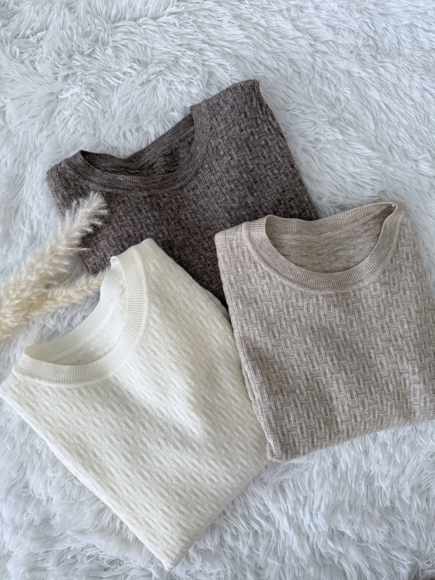 image_344F29CB-4F62-47B9-B991-8E94033B4667_1758302204