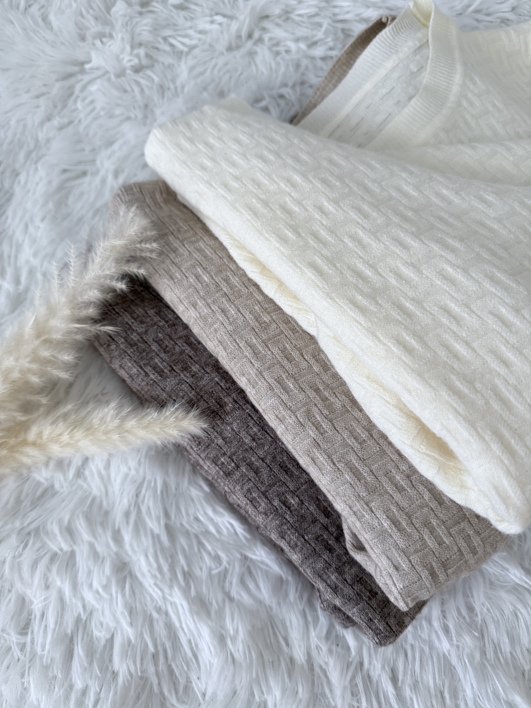 image_274EF993-08DE-441C-B5C7-627EEEFD66DC_1758302204