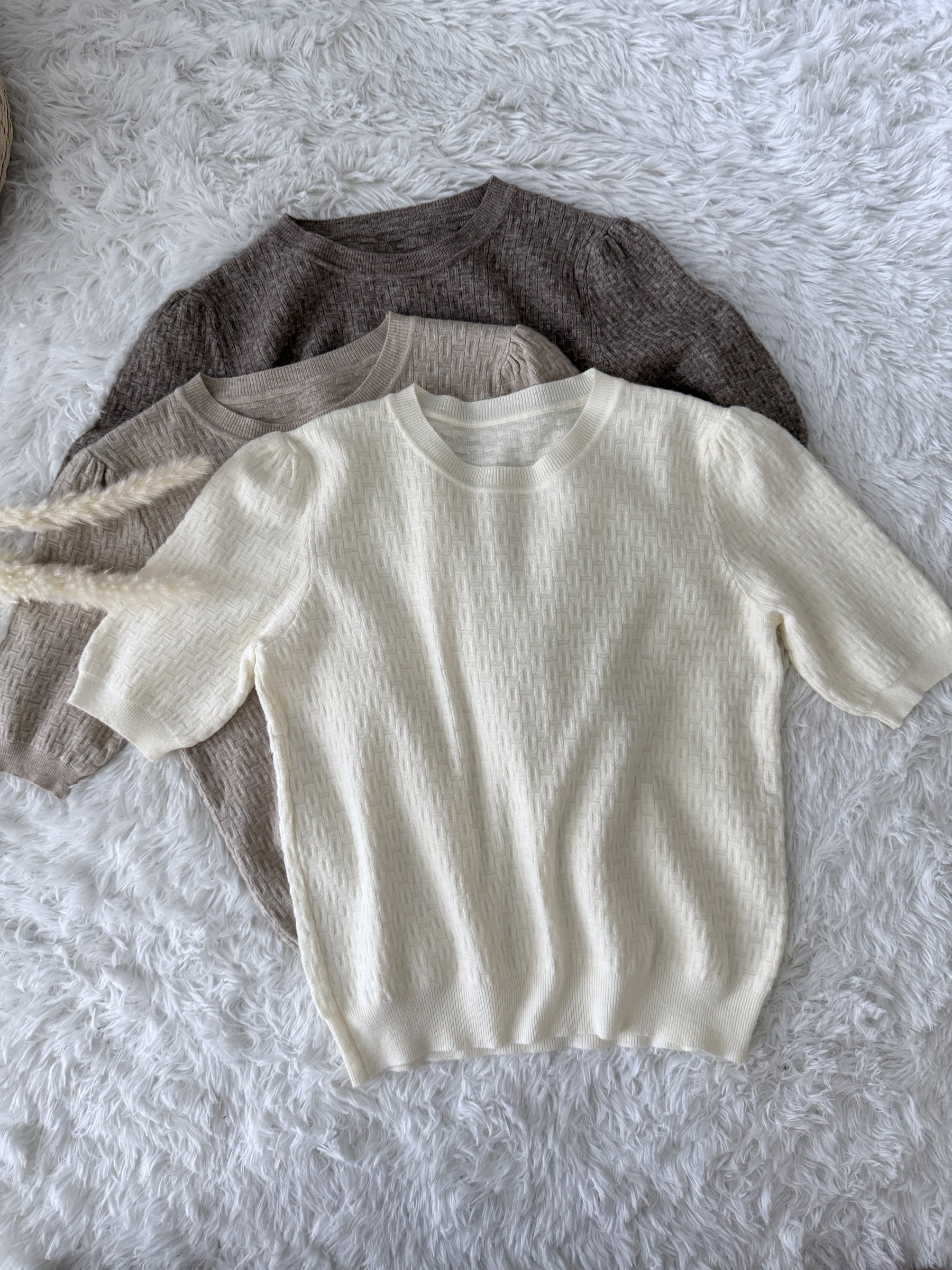 image_4987903C-CAD9-4ACB-9469-F29C6941C69A_1758302204