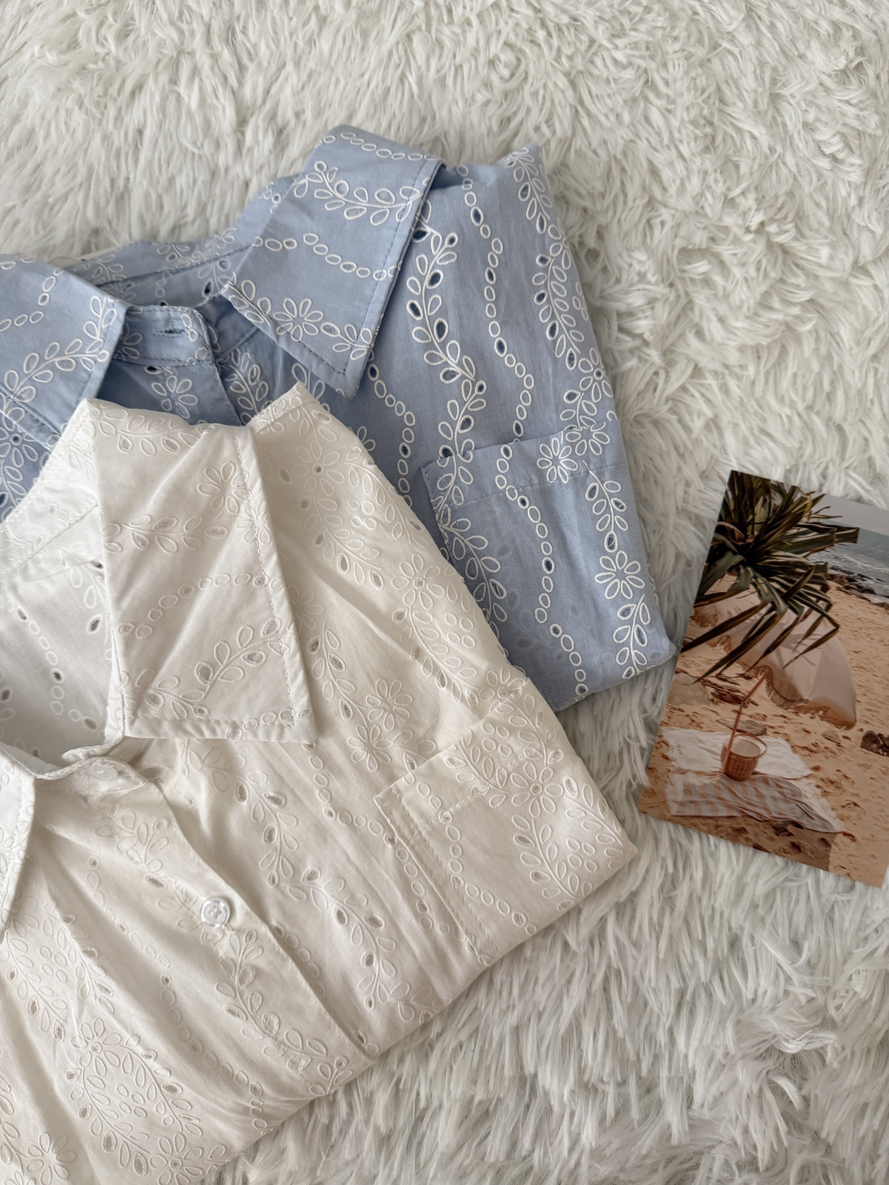 image_36380CD2-9CEF-45B0-91CF-13D349F120BE_1760629781