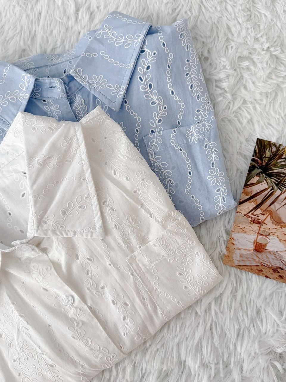 image_E55EDDB1-2224-4224-8C05-477972640F78_1765038335