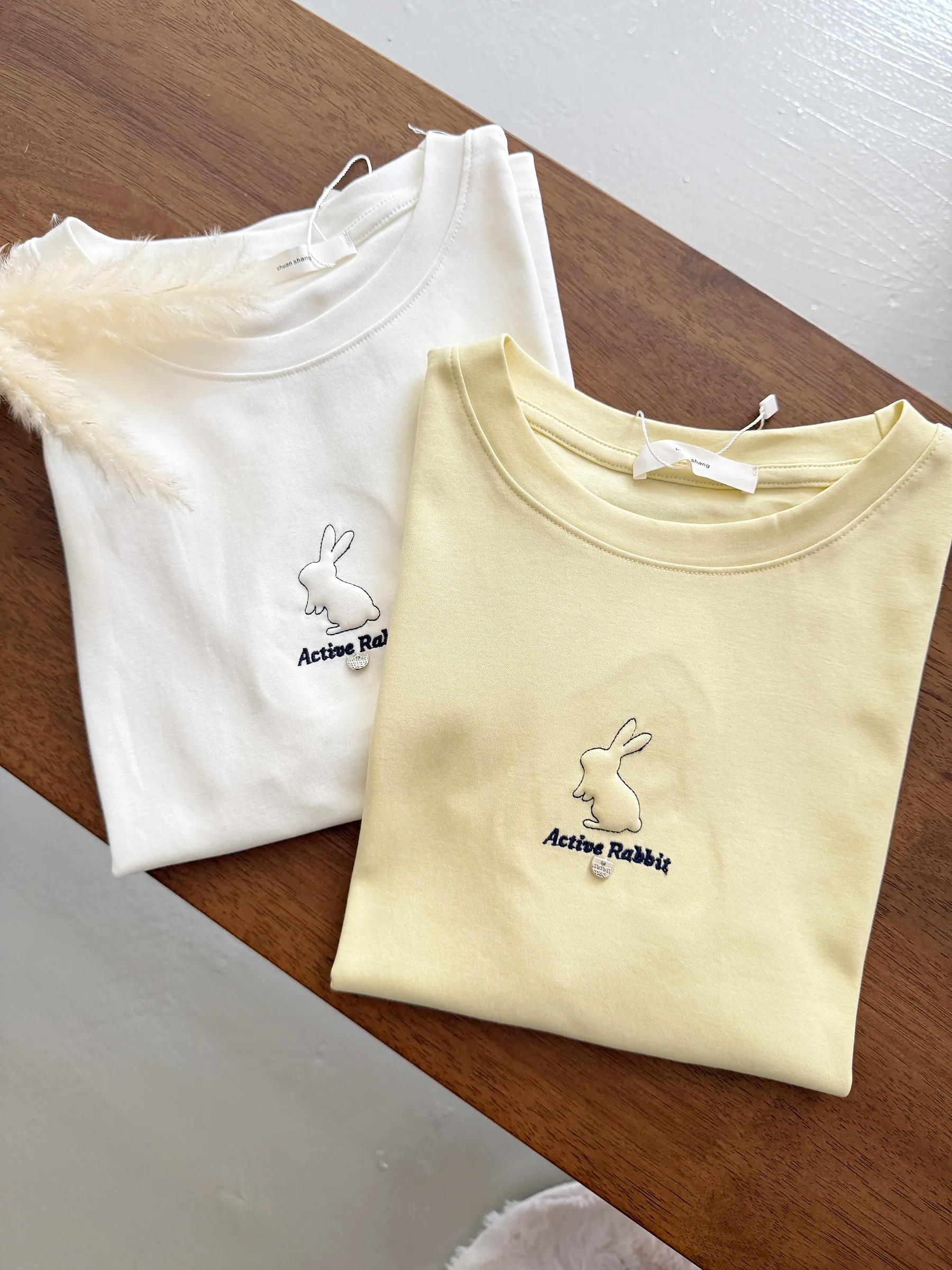 image_C665B951-496C-409D-BF40-C5A56A5AEDB4_1765638509