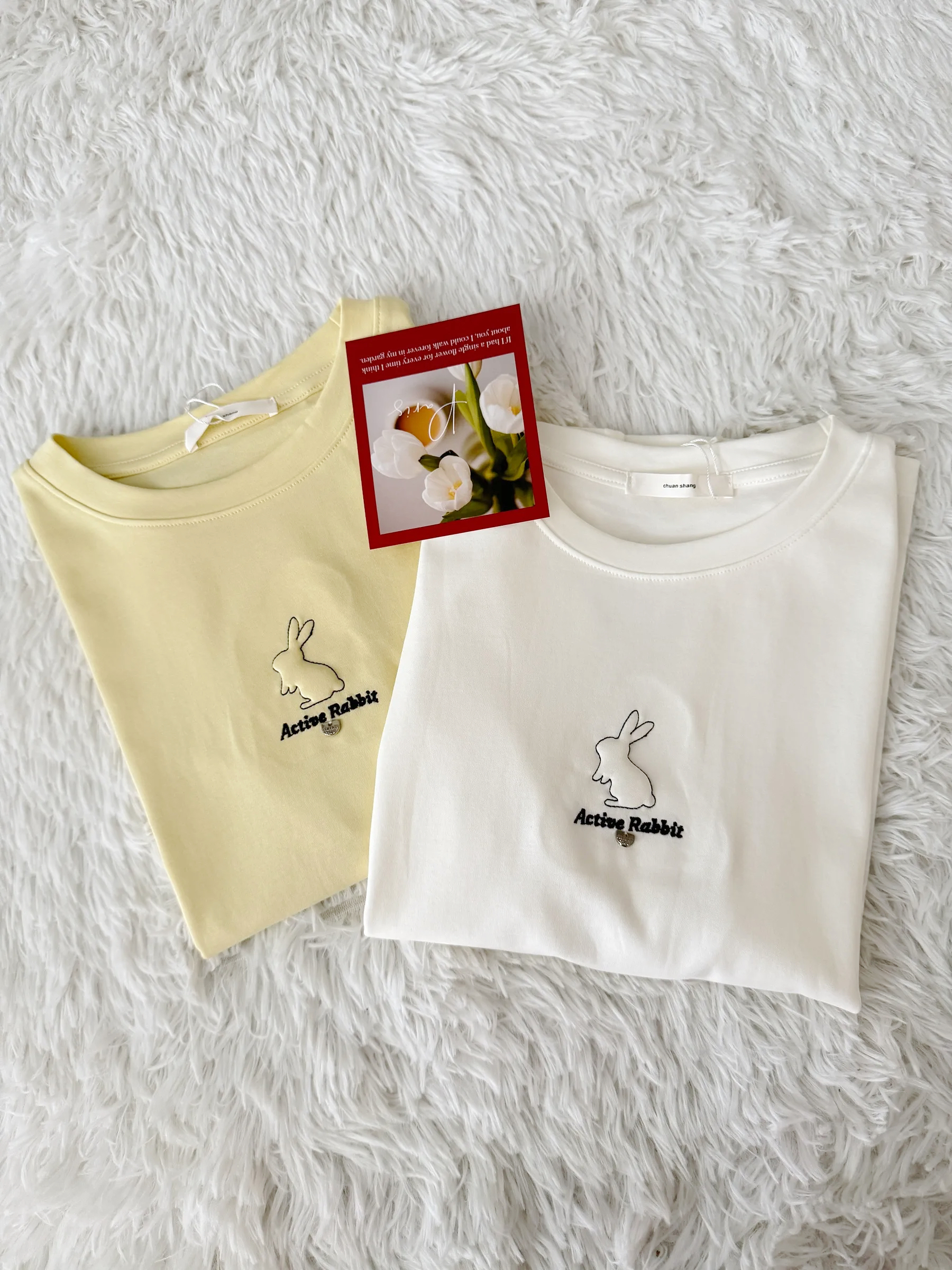 image_3F056A93-2279-47BD-8FD4-C9DF437AB9A5_1765638509