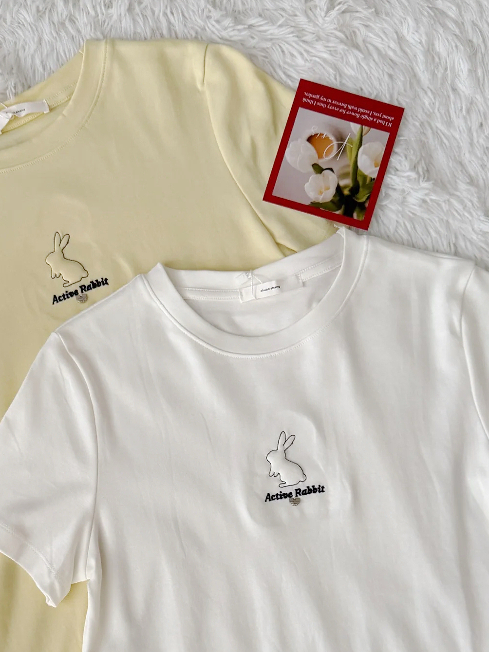 image_E7D1DE06-BB7F-429A-BEC2-E192A8385A7D_1765638509