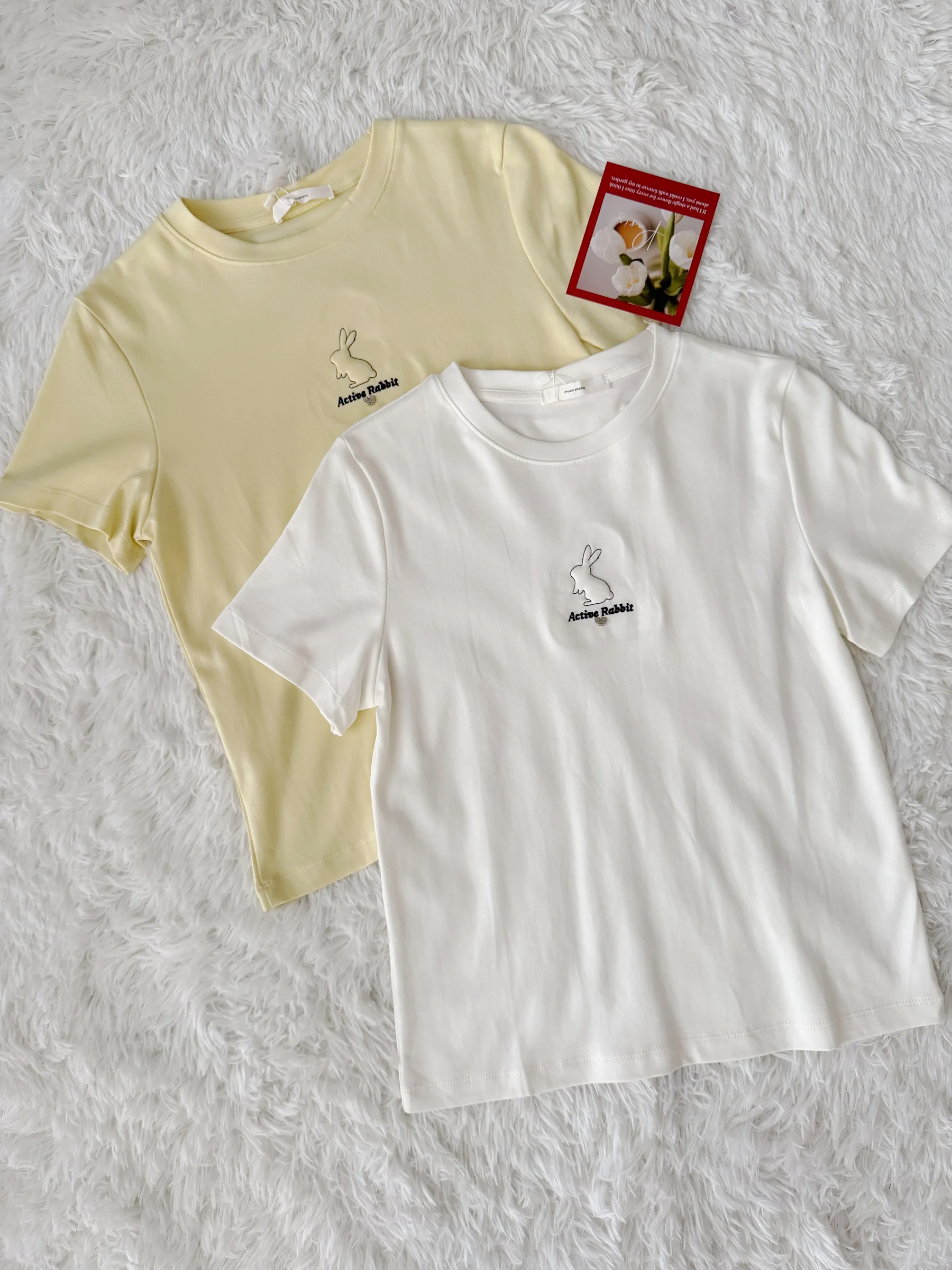 image_A5D50AF8-754C-43DC-A768-25BE4F2D3EBE_1765638509