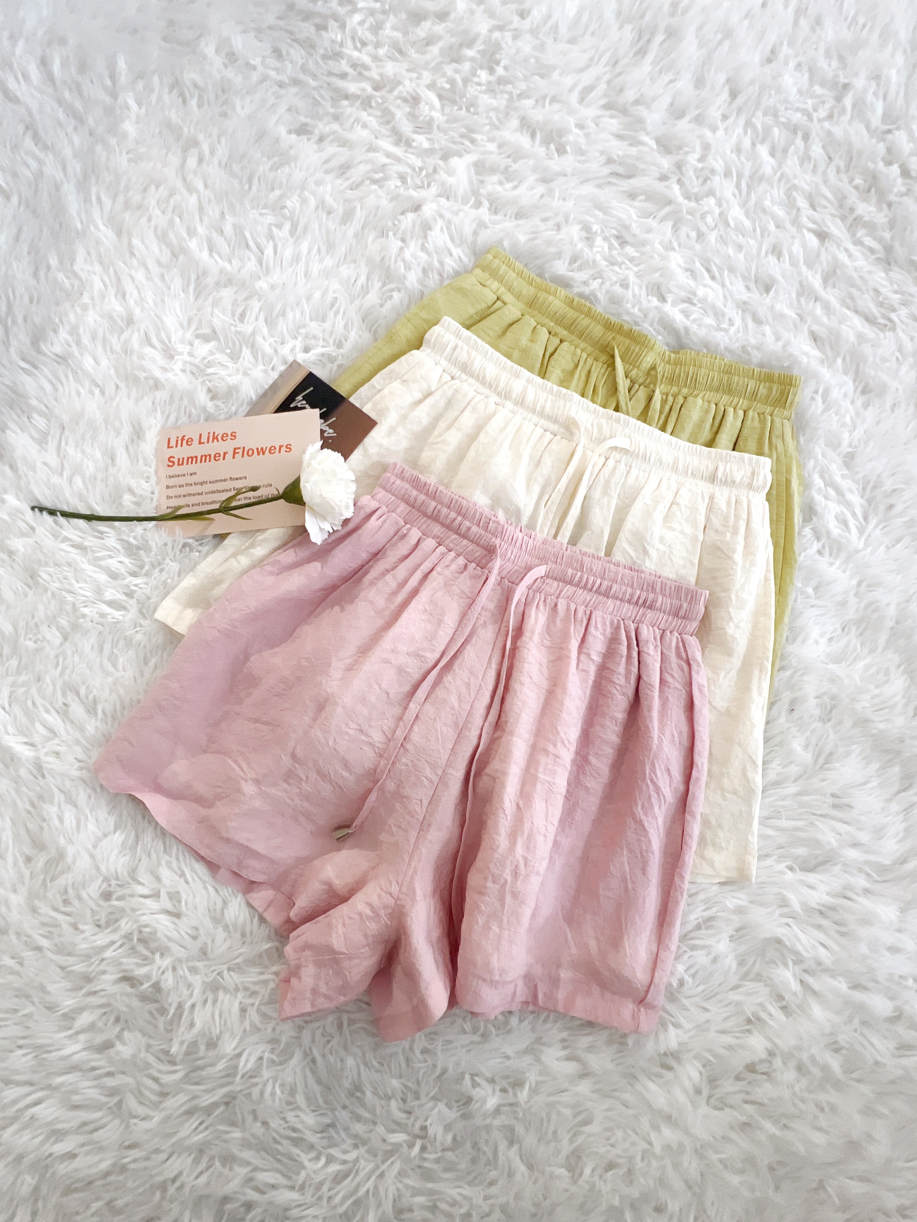 image_3210CD3D-5B72-4E63-82DA-AFE8D8C28669_1765640726