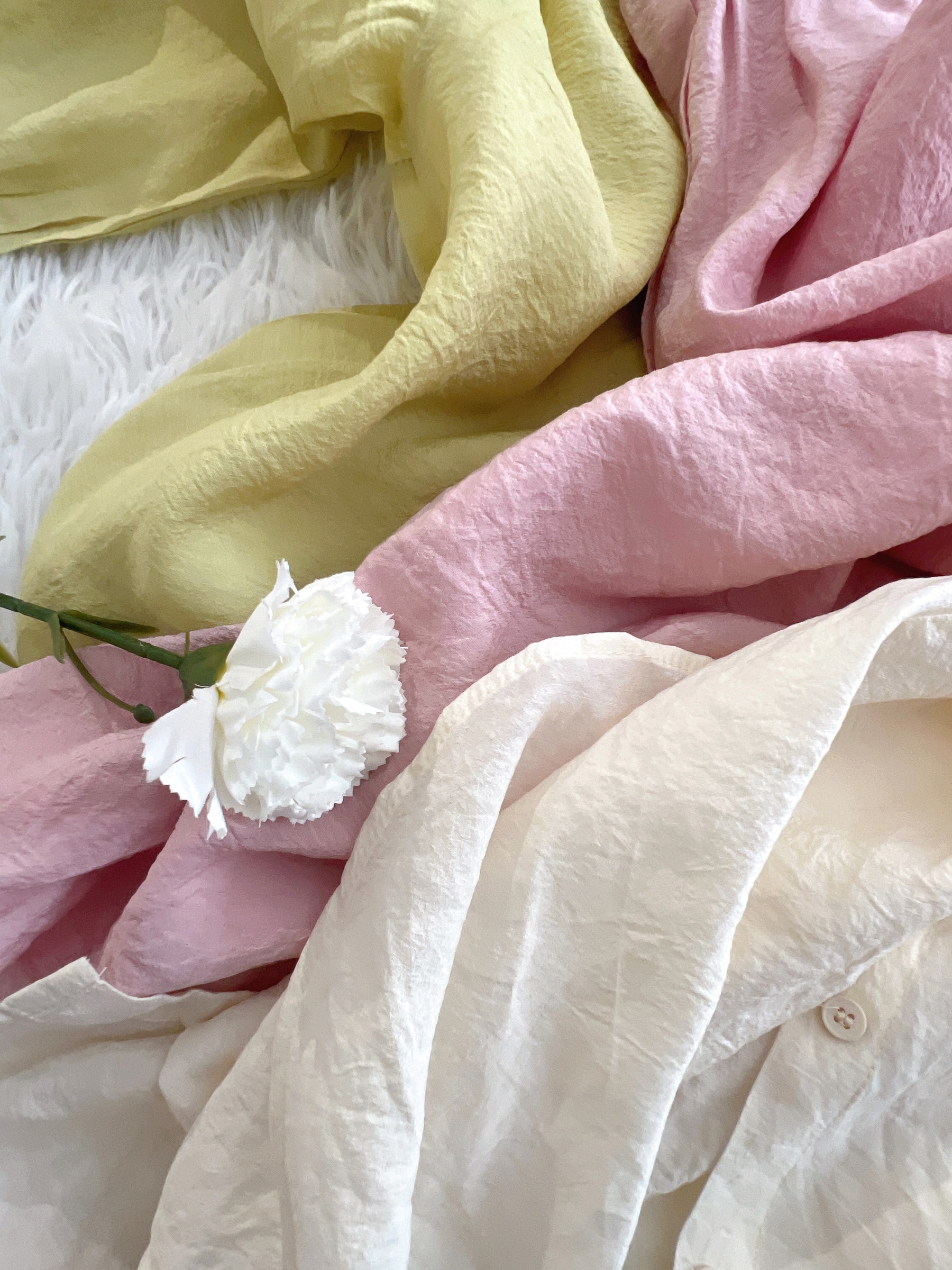 image_071A4E9D-ED22-4B77-90AD-DDAF30DDA9DC_1765641837