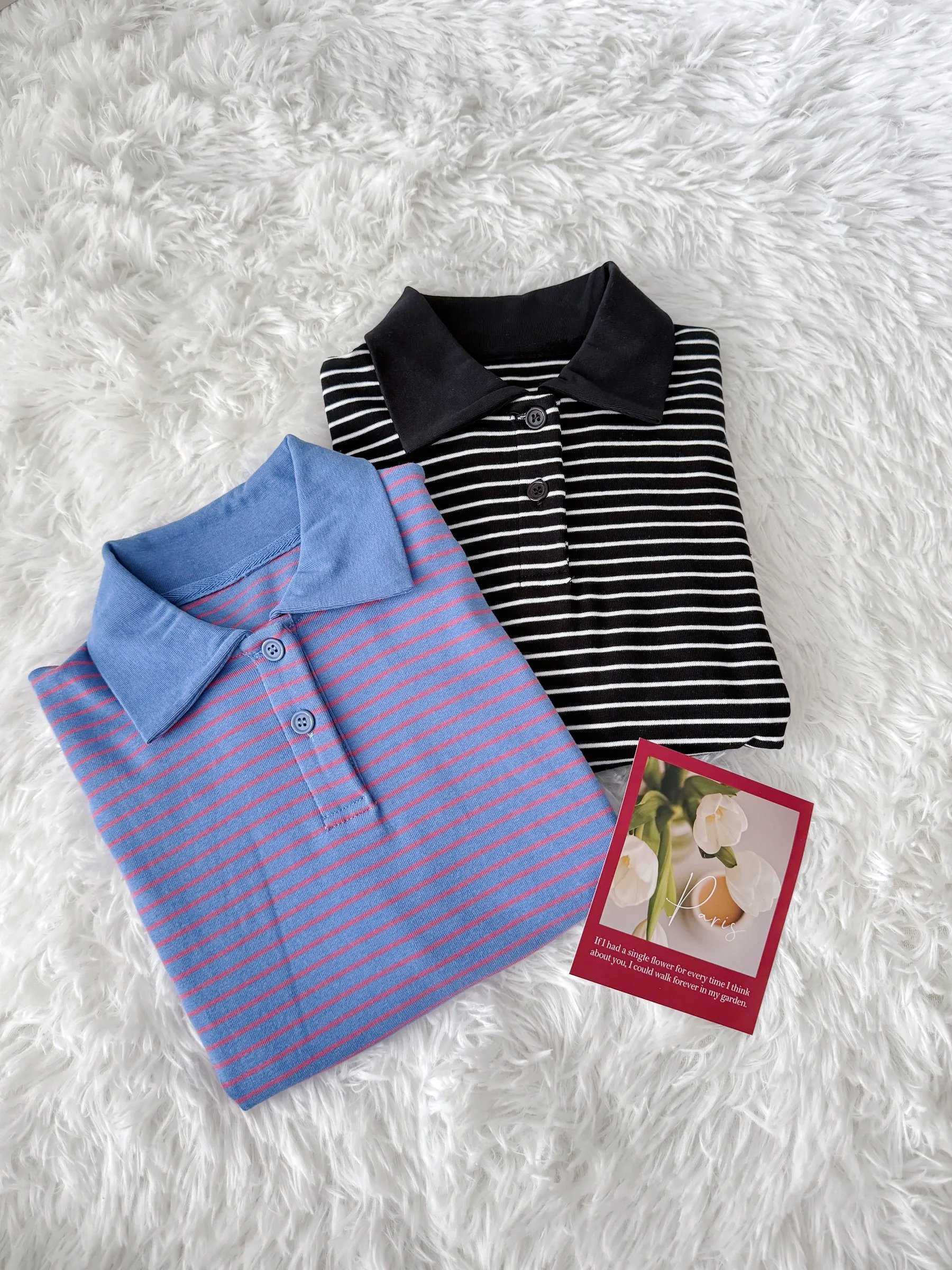 image_09382F7E-4D23-4202-8F86-3FFC55C7952D_1765647414