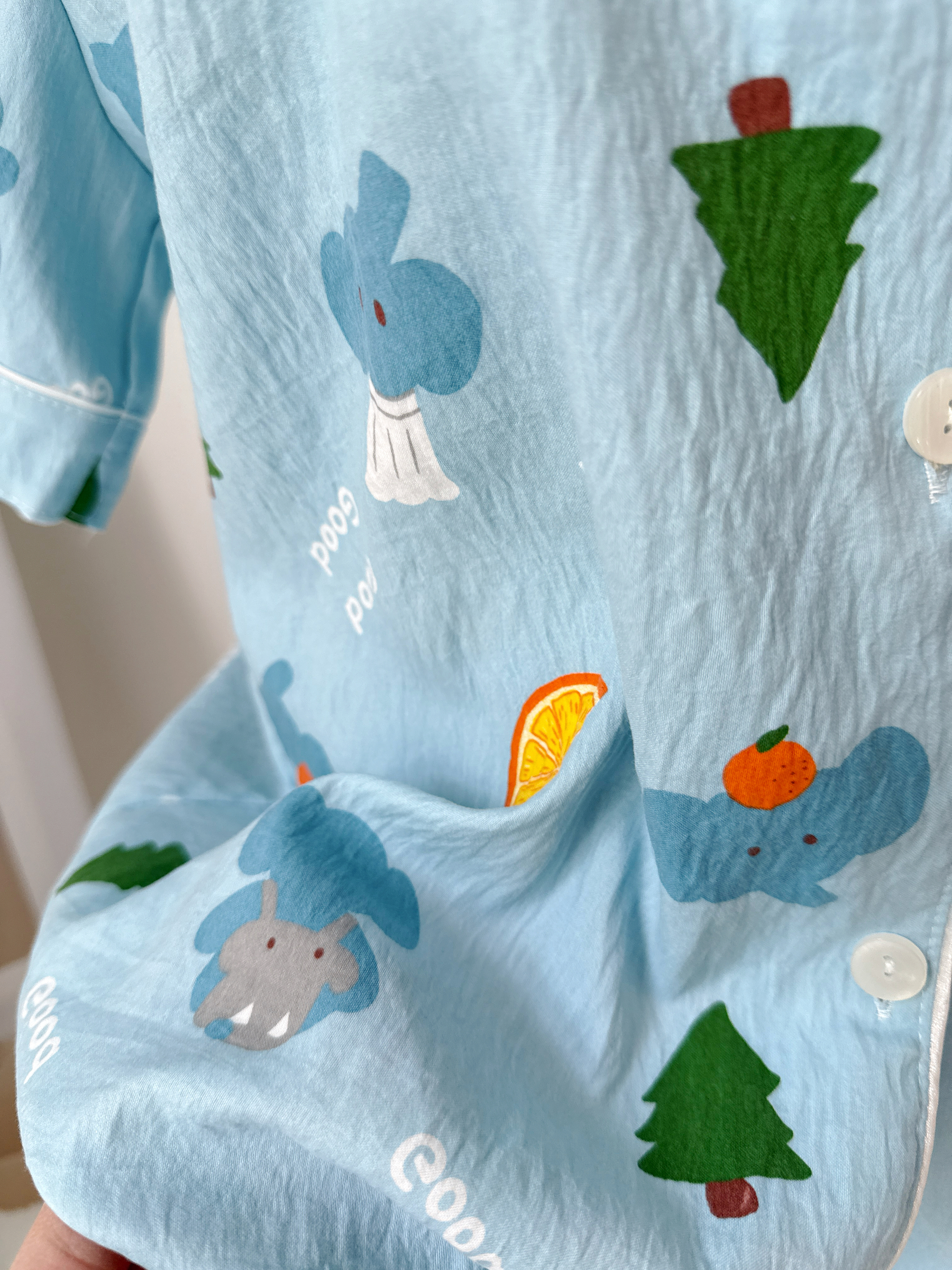 image_800CA190-A5F5-4366-A411-E26C7E8EB40C_1766335900