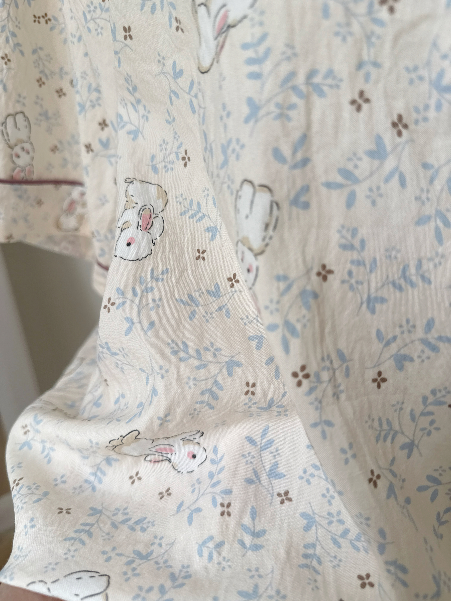 image_BDBBEDC1-191D-4885-941C-D805F06C91D9_1766338705