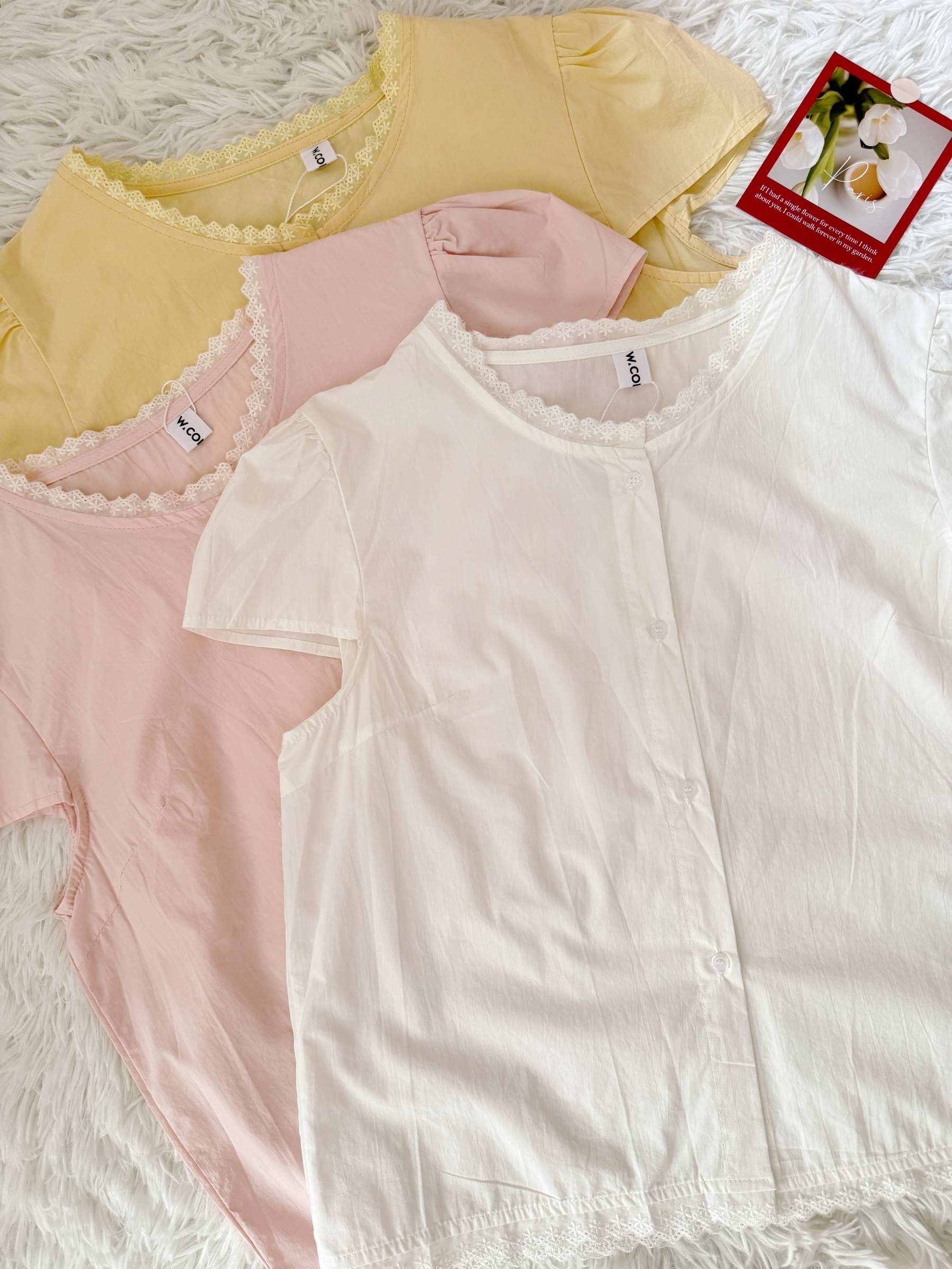 image_97D3628F-CC16-4916-90E1-055948C19162_1767762935