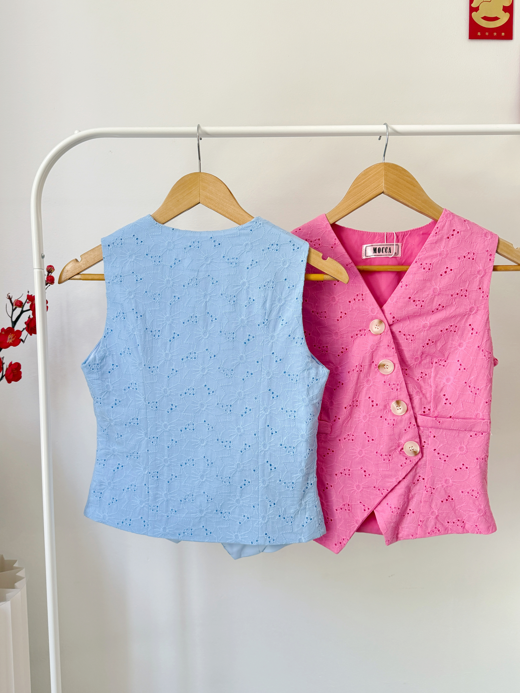 image_9ABB774E-5853-48D2-BA36-3F07E620AFB1_1768230344