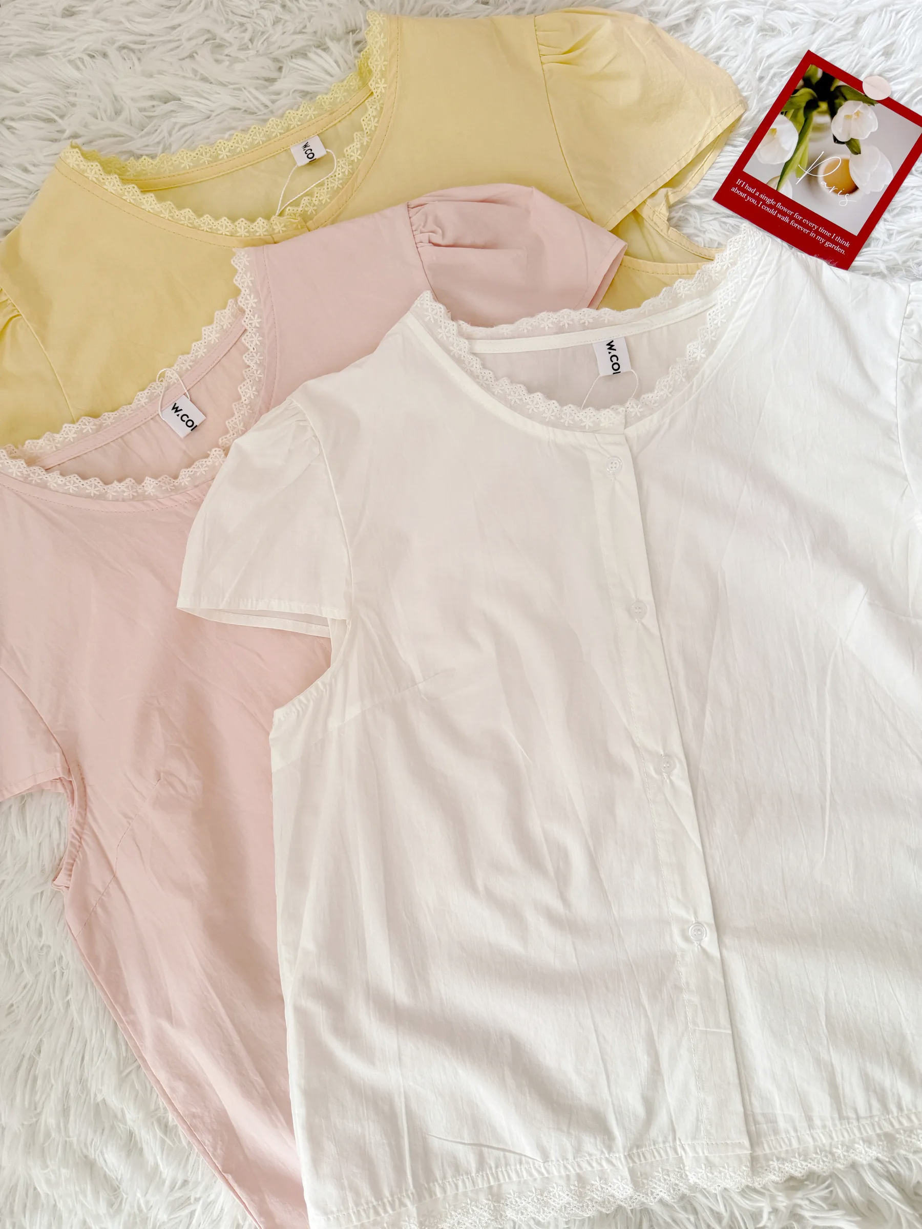 image_C64C7D05-0797-4B61-BC03-63FA4D2B6806_1768571443