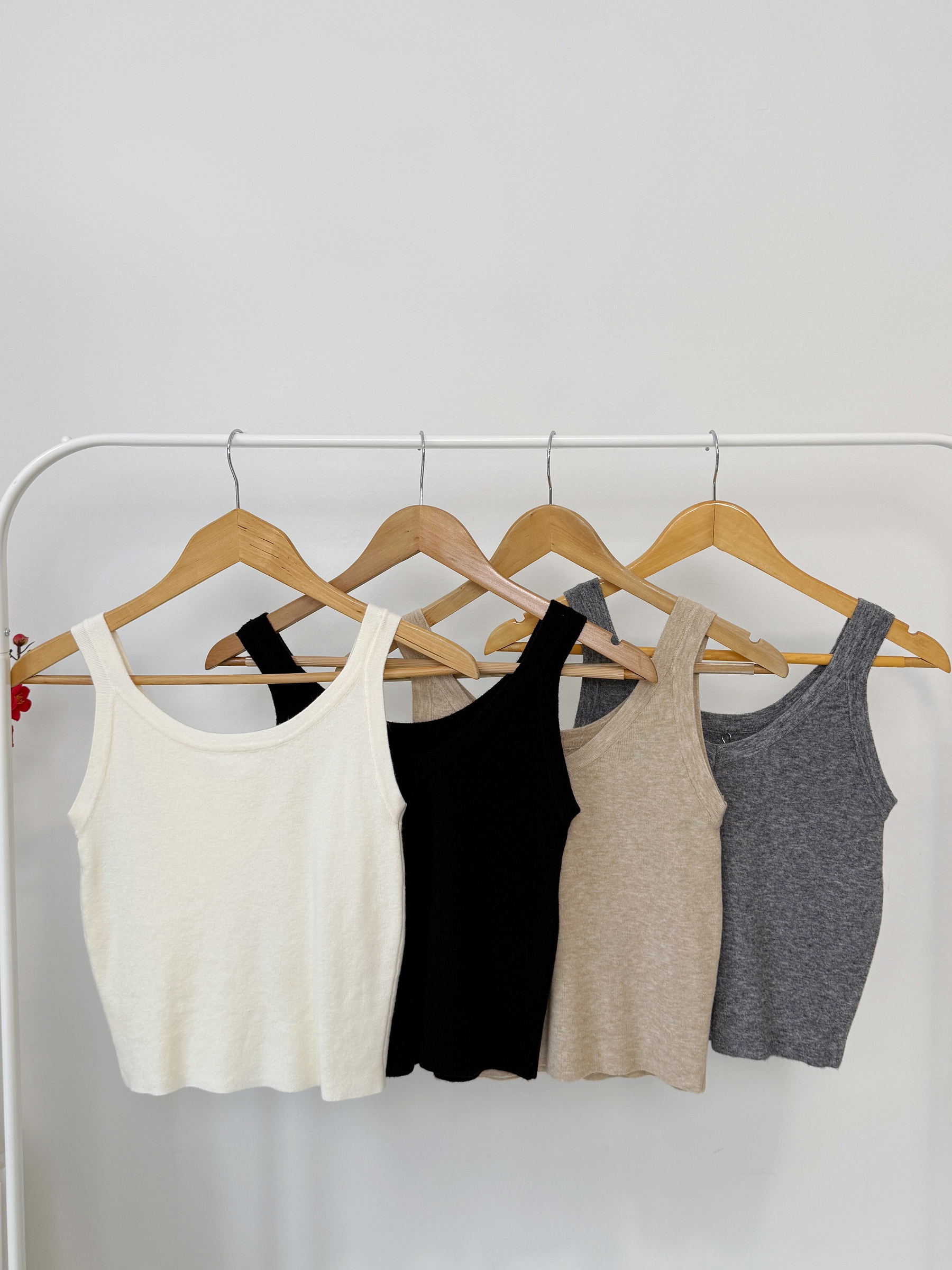 image_E81E217F-C4AD-431B-B378-2014DDA011E1_1768916070