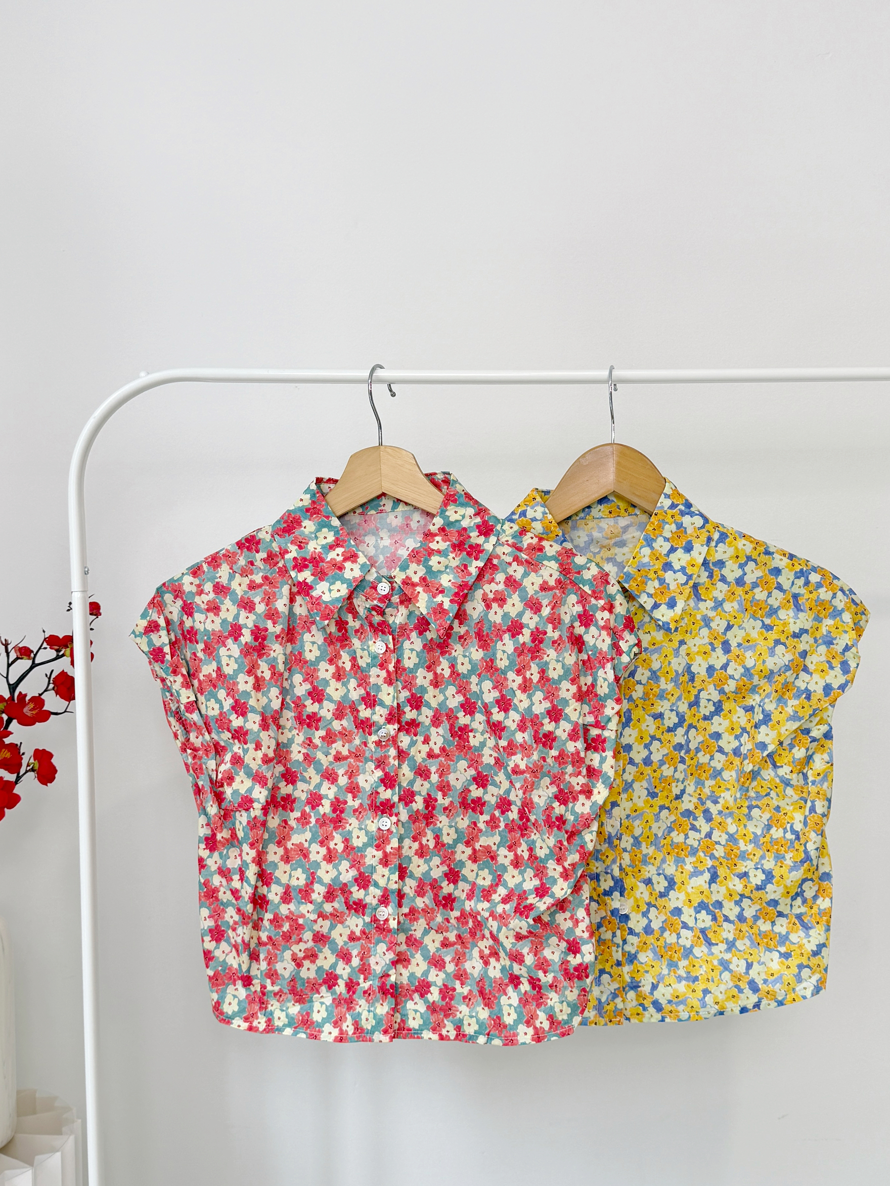 image_677AA210-4A30-49E4-AD4E-A336065442CC_1768917806