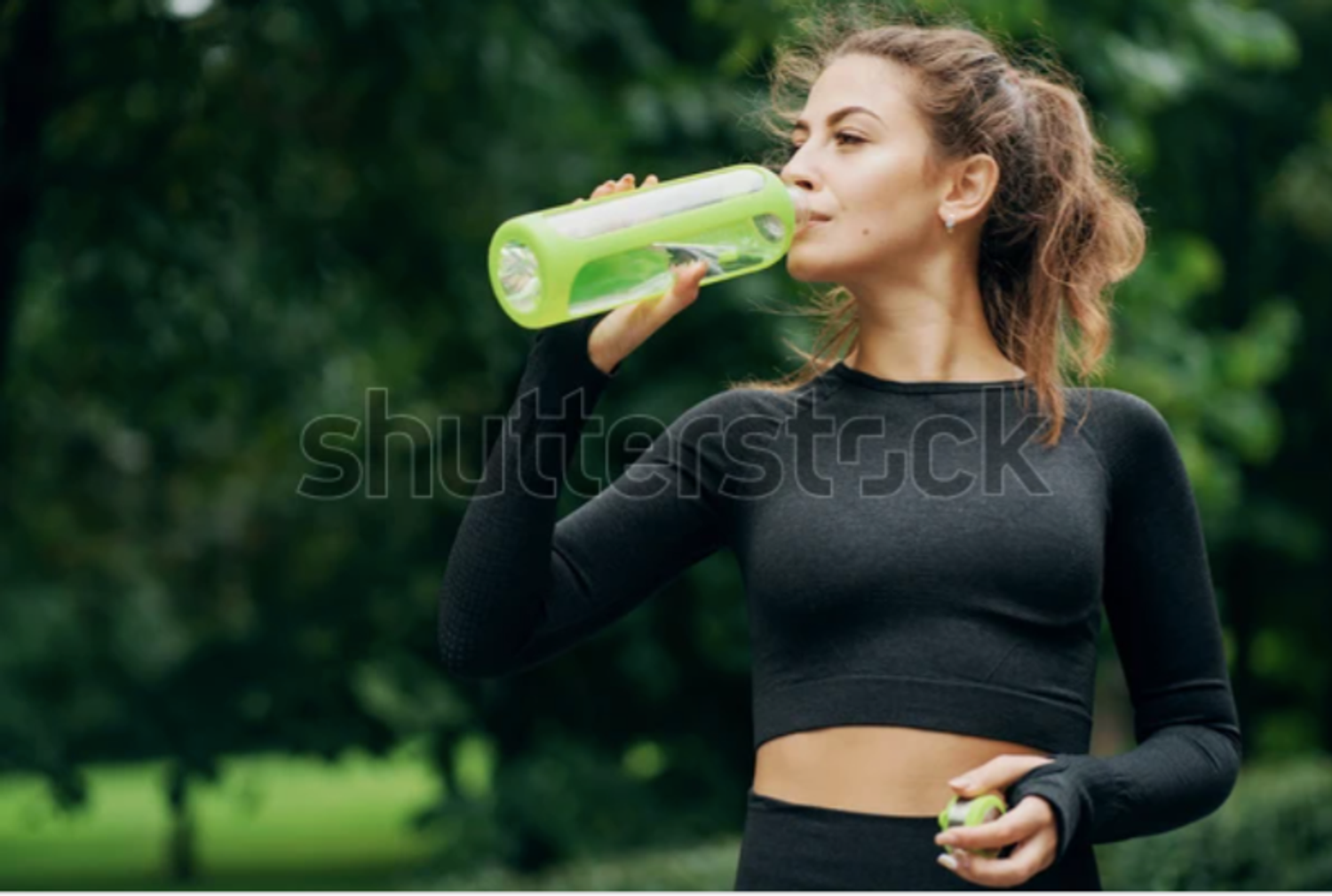 https://cdn.store-assets.com/s/1407805/f/15445741.png
