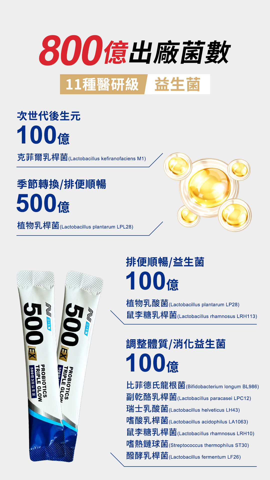 益生菌307-1