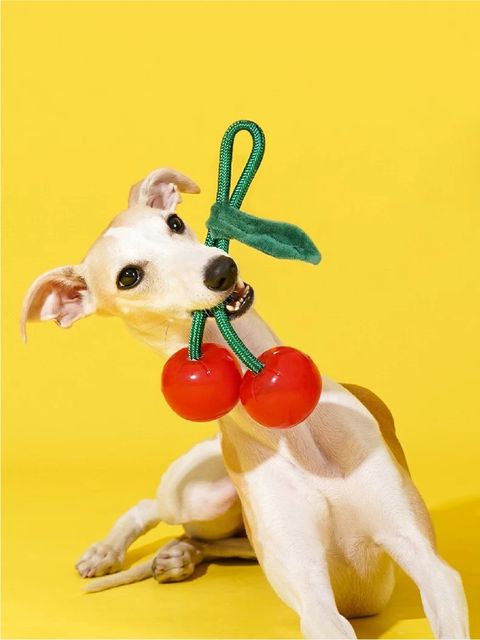 Crystal Cherry Rope Chew Toy-2