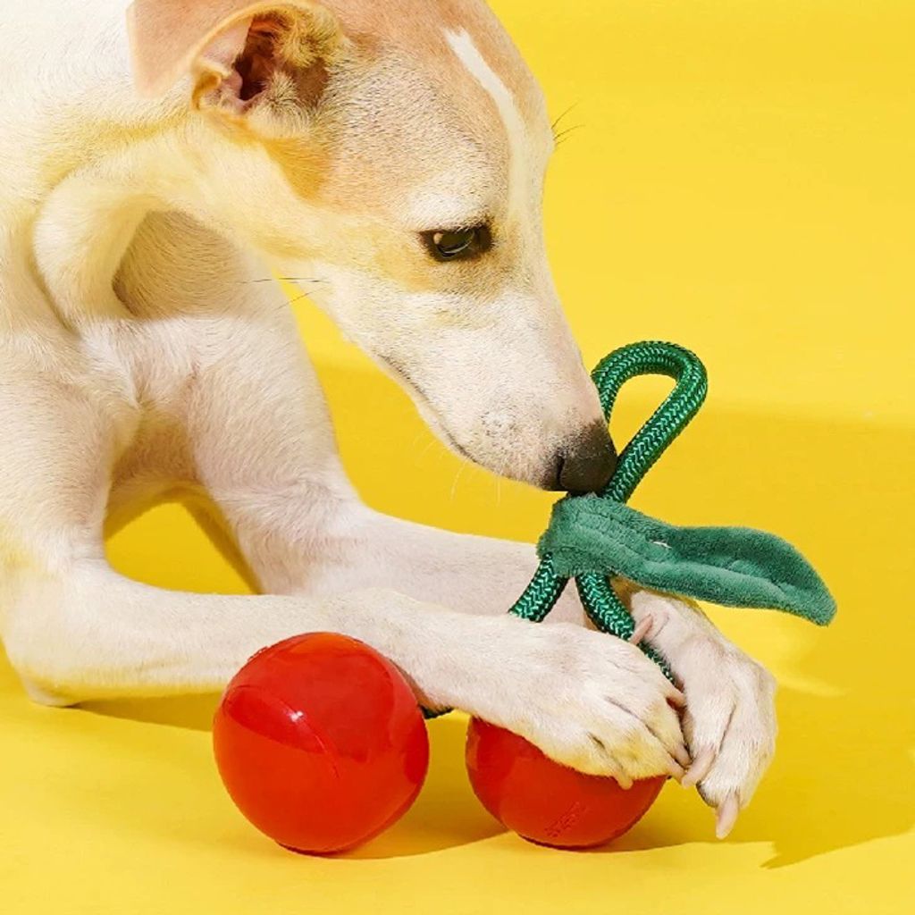 Crystal Cherry Rope Chew Toy-4