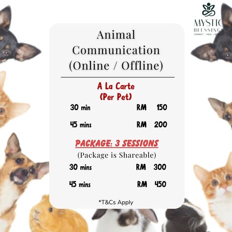 Animal Com Price