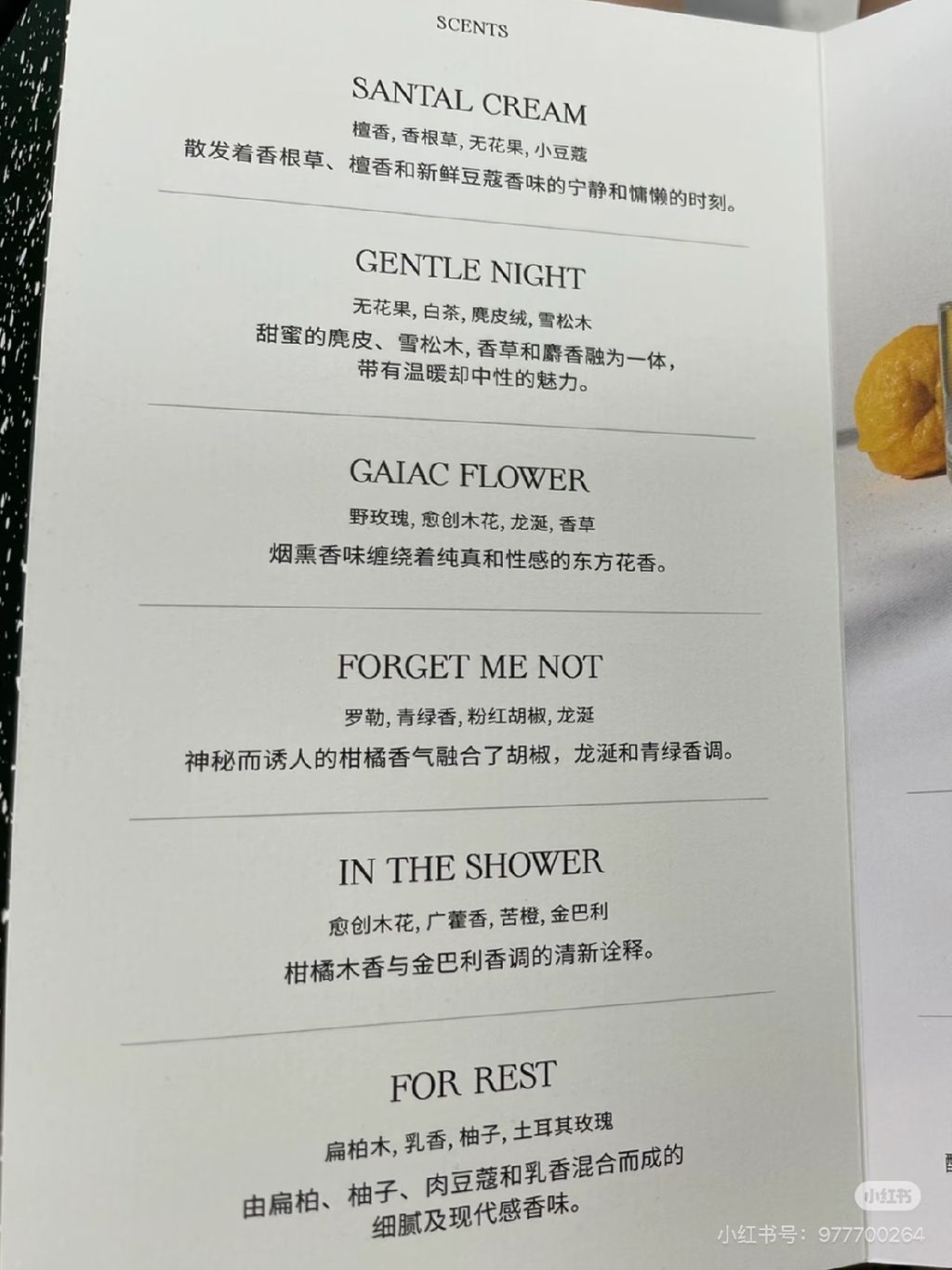 image_50635449-C9B2-40D5-B12D-149B08E75BFC_1776540842