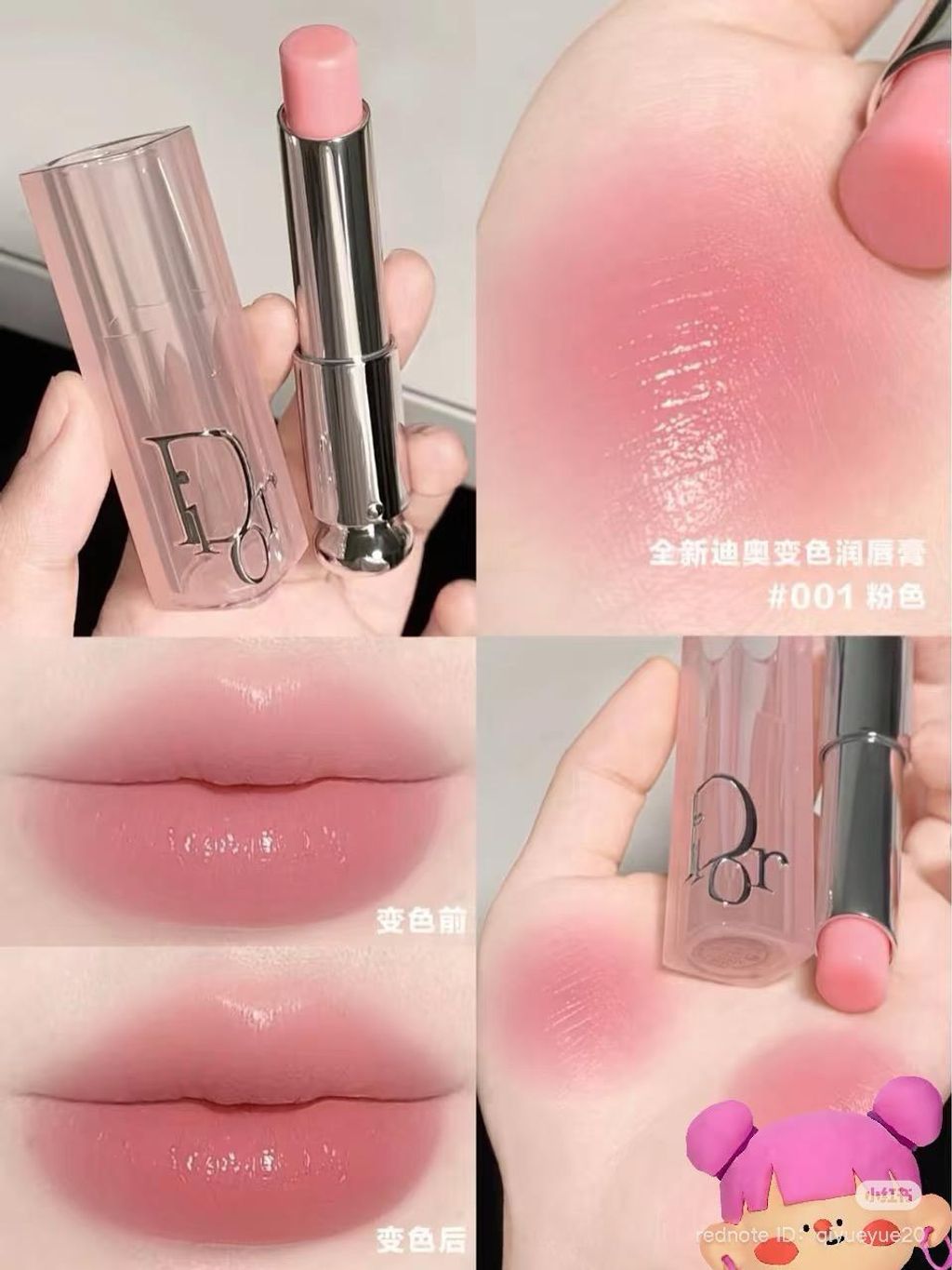 WhatsApp Image 2025-06-20 at 12.28.14 PM