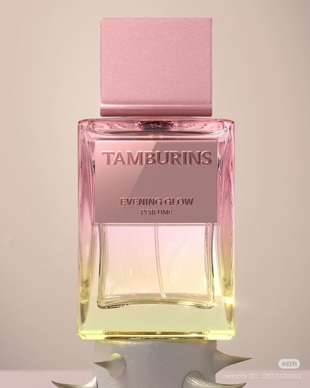 image_03B88F77-231F-4CC7-B085-BECEF40C6CC6_1750575093