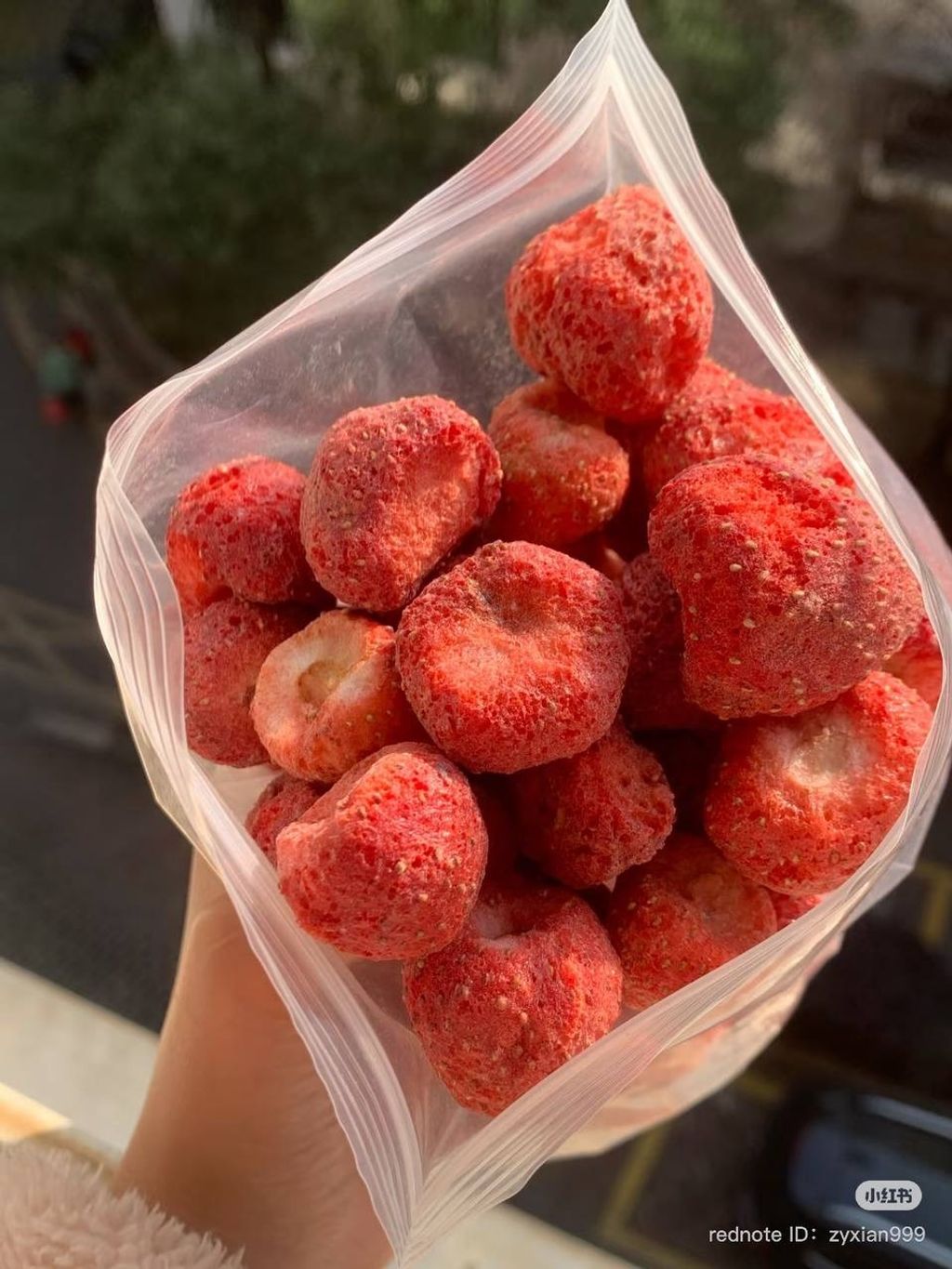 image_B2D0C76E-D967-4647-BCBD-E849AA9B8183_1750601877