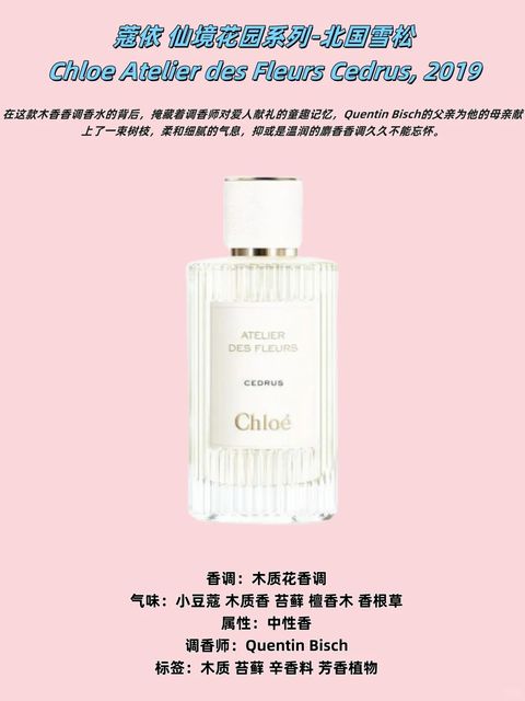 蔻依 仙境花园系列_4_小泽玛丽香🌙_来自小红书网页版