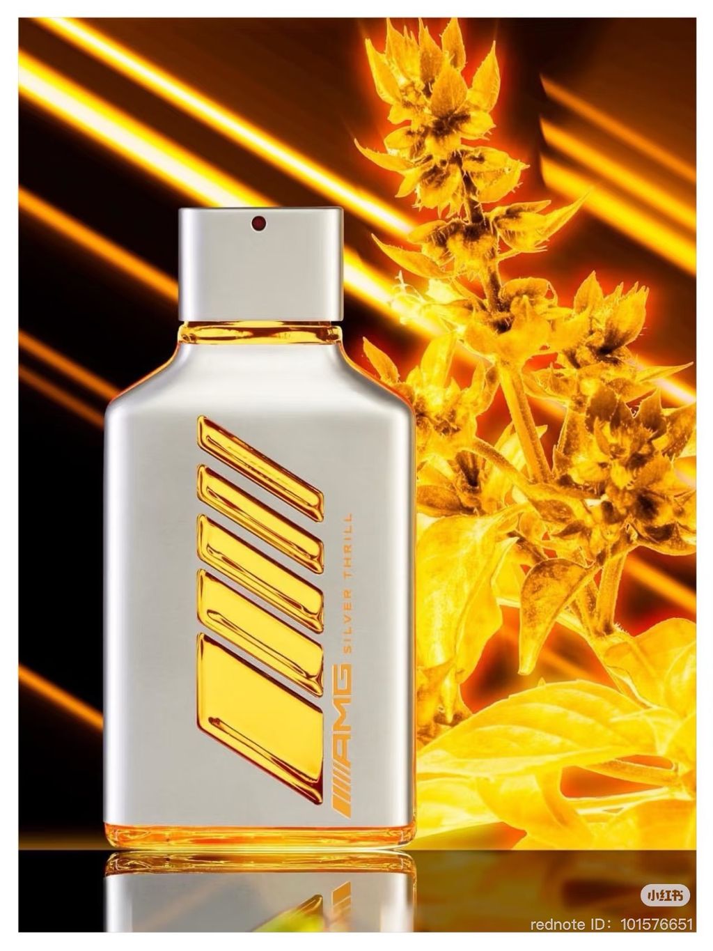 image_EE7B8FDB-F0C9-4374-980F-3514C70AC473_1751015283