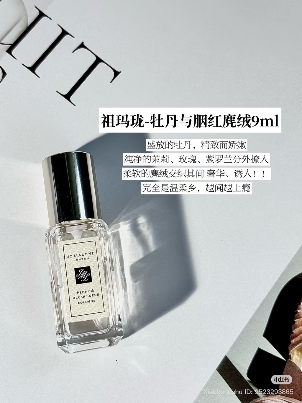 image_C50E3913-6191-427D-A2D3-E7C520A38169_1755017803