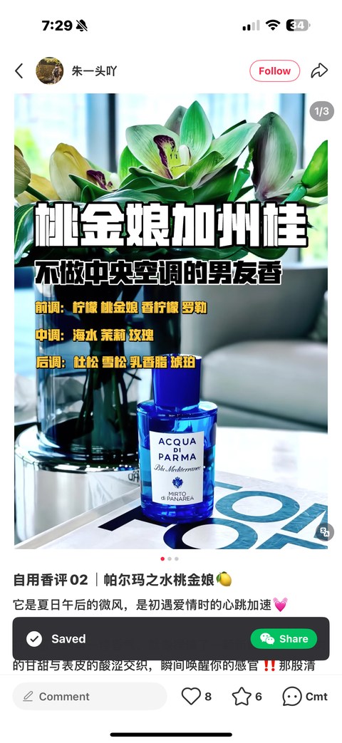 image_CE0353E9-498A-4D02-9C3E-E9AA69CFA1F1_1761564610