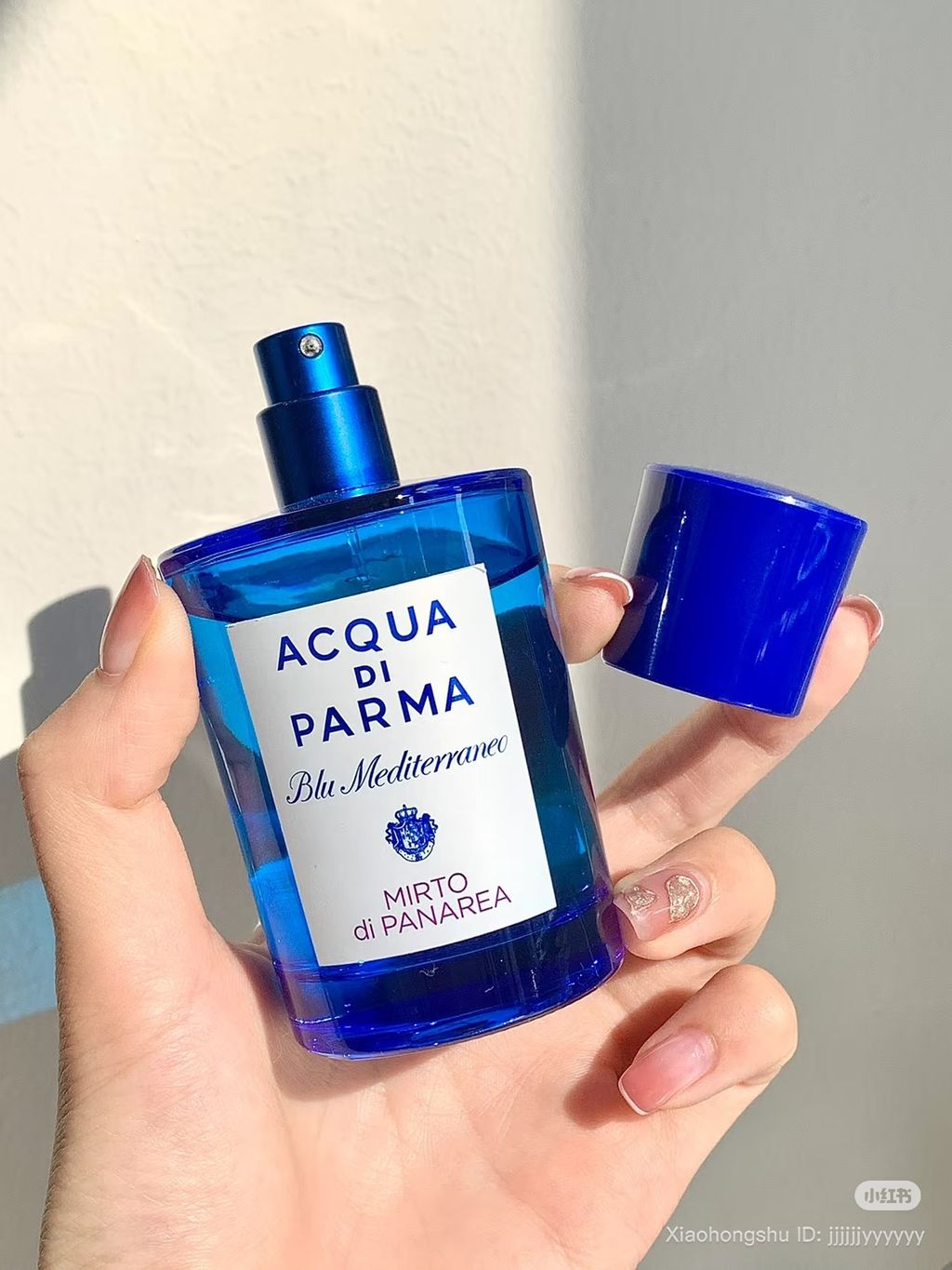 image_560754E1-CE58-4AC8-A51B-242D1A36D907_1761564610