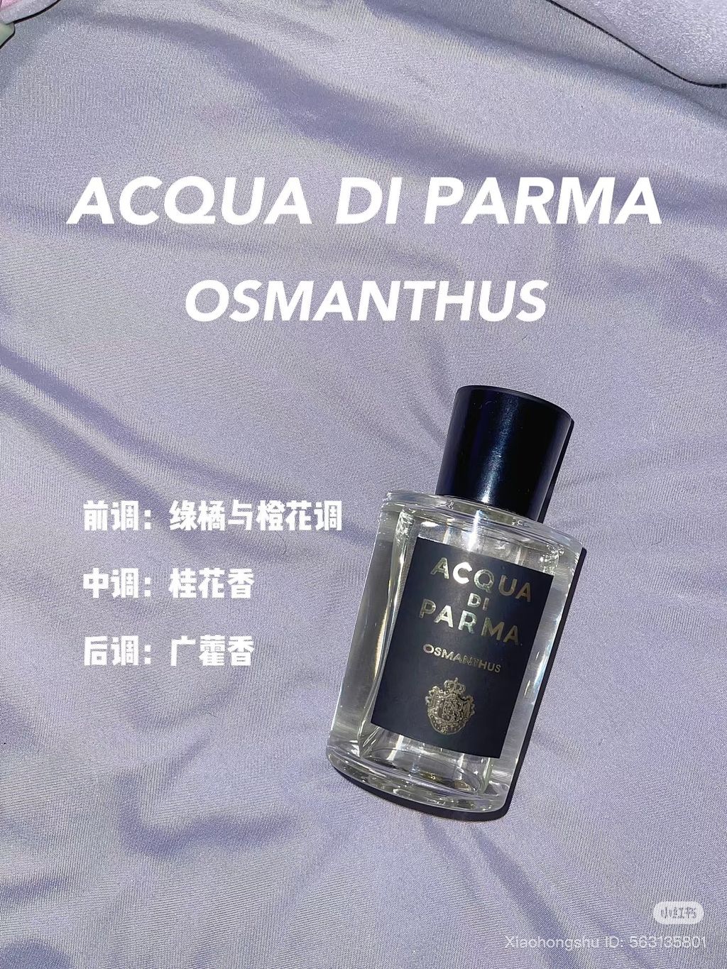 image_5C5DEB02-D6F7-471B-95A4-A6BF83545113_1761564781