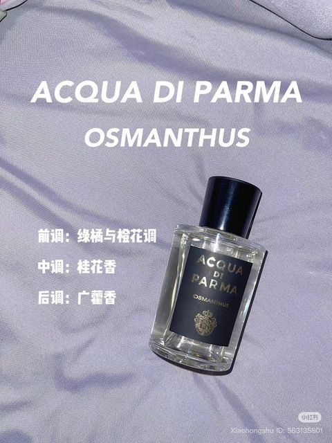 image_5C5DEB02-D6F7-471B-95A4-A6BF83545113_1761564781