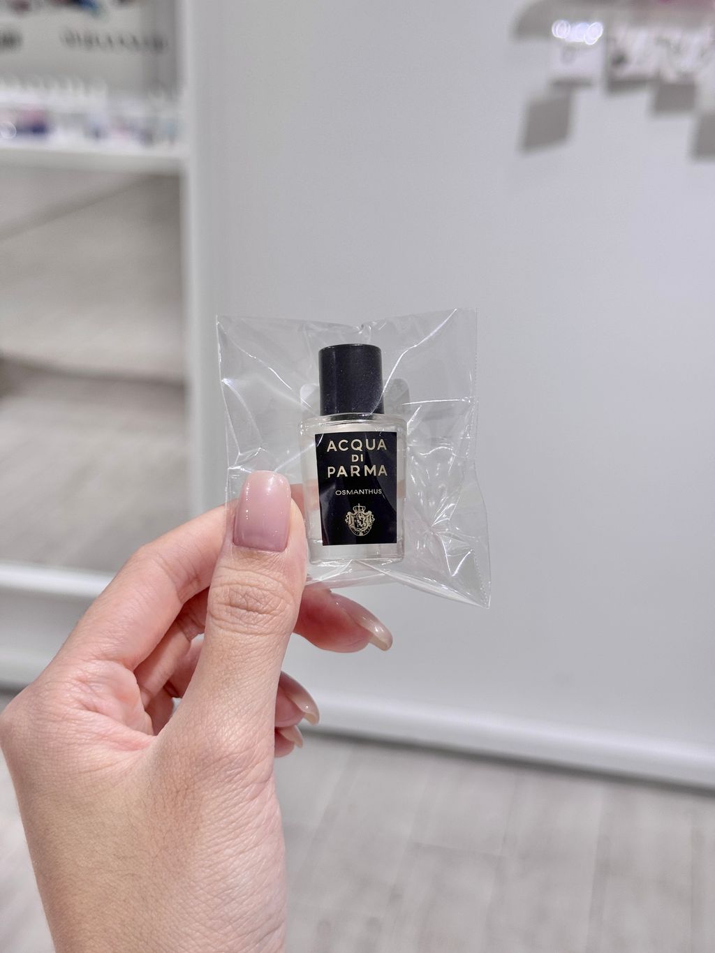 image_38448447-055D-4C2E-B617-B42A6FA58451_1761564781