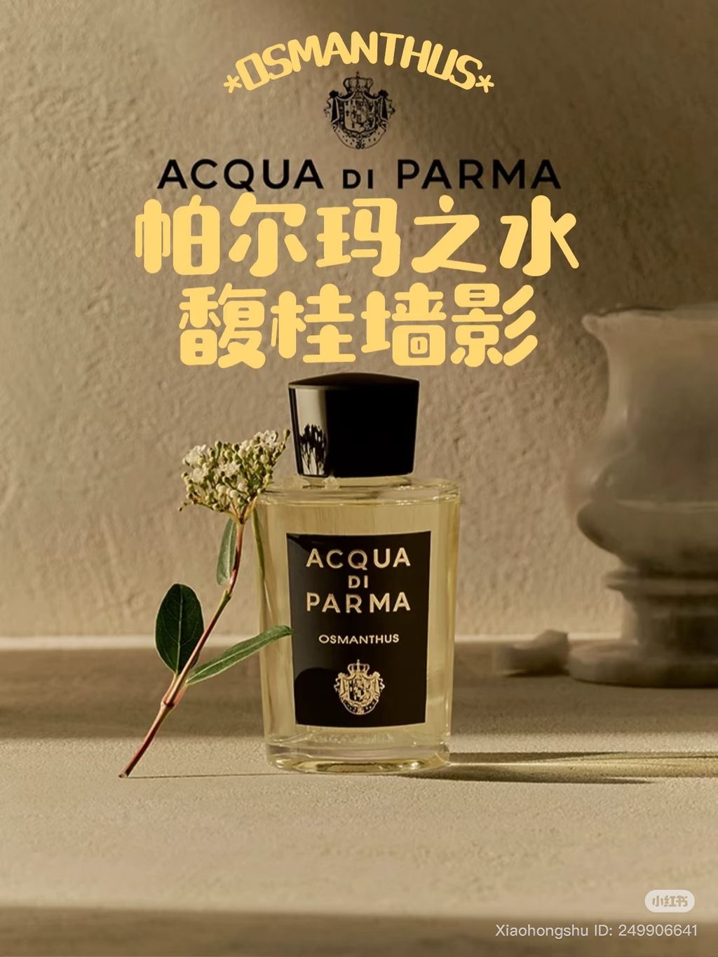 image_338D2056-2B84-4A11-B047-8654C1806F95_1761564781