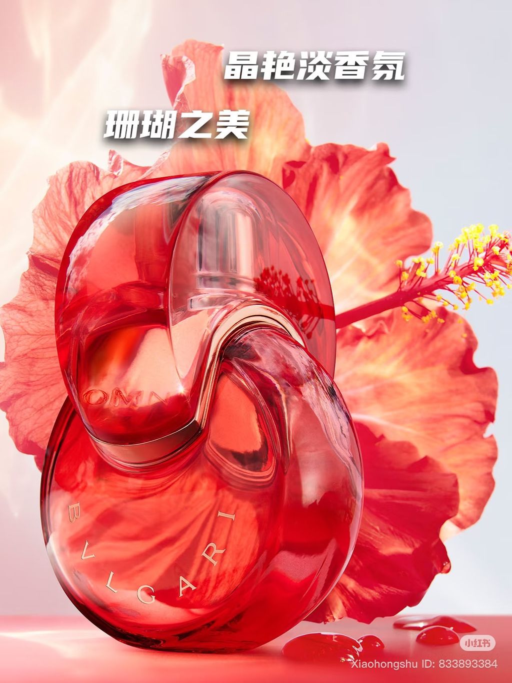 image_E1292D05-DFF3-47B5-BD67-35F57B503E43_1761566568